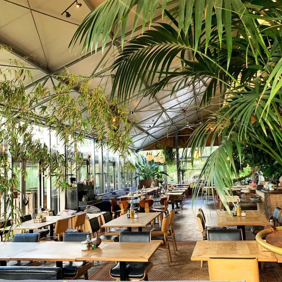 Binnen in een restaurant met grote groene planten en houten tafels en stoelen.