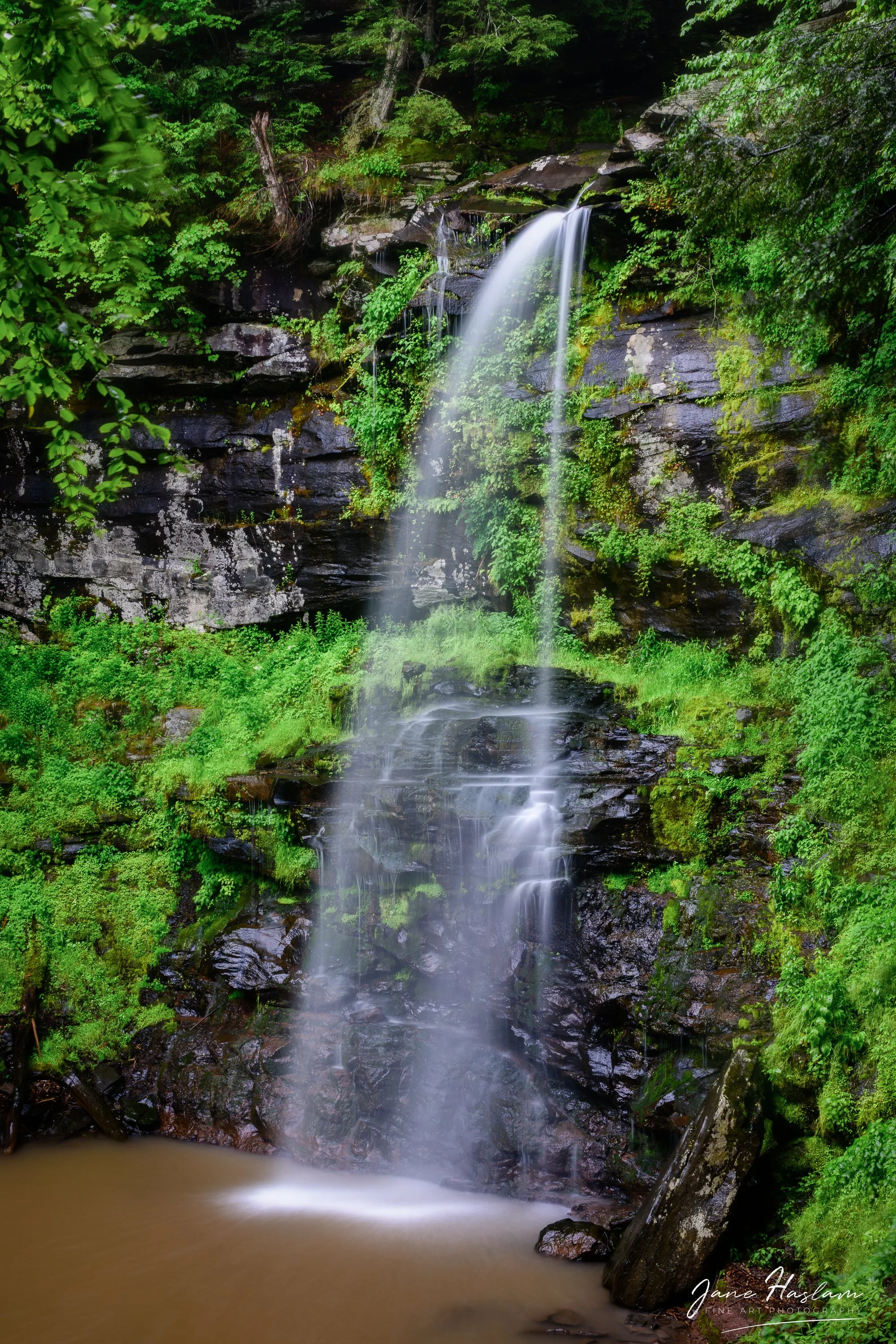 Jane-Haslam-Photography-Catskill-Mountains-PlattekillFalls.jpg