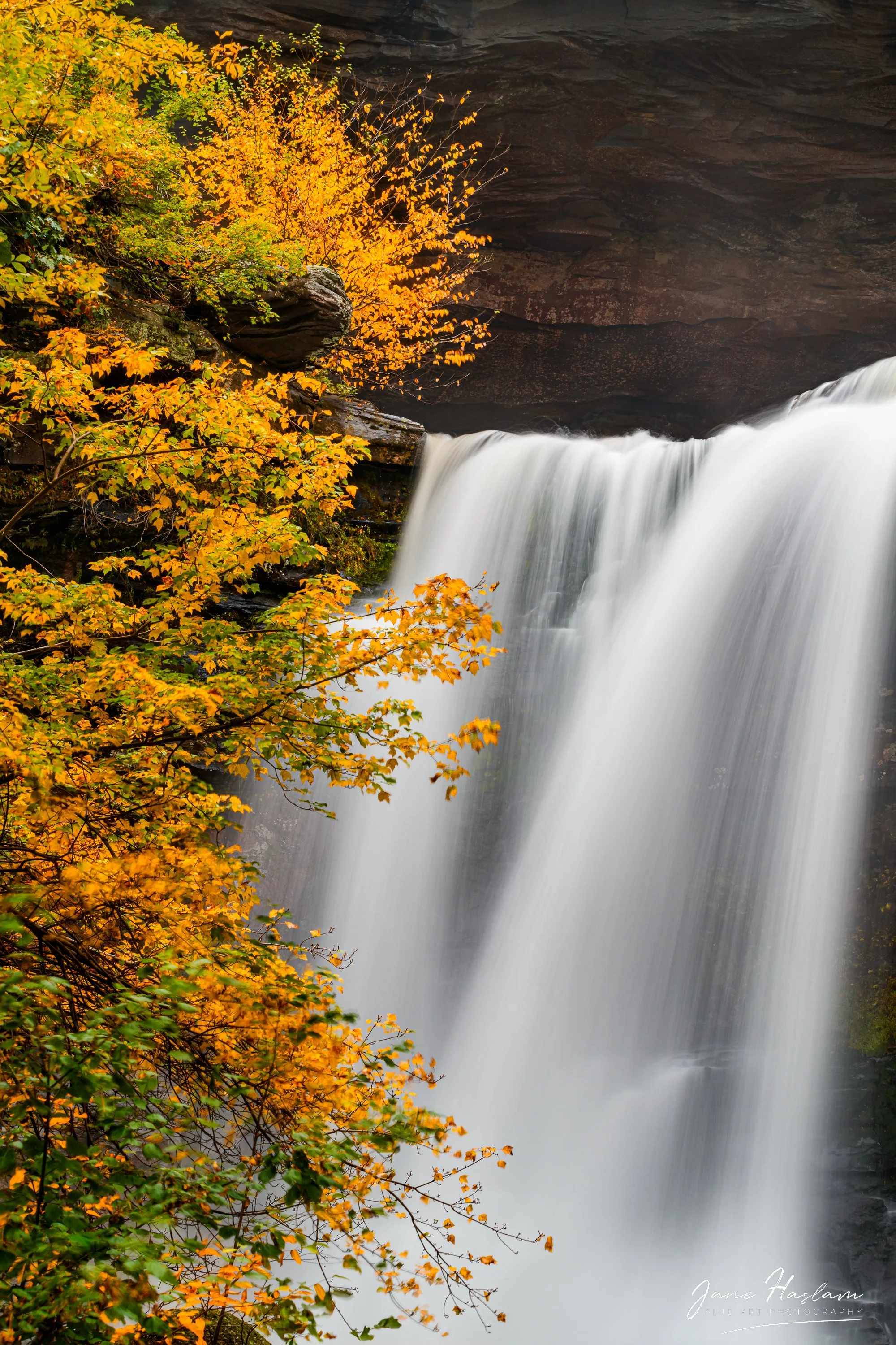 Jane-Haslam-Photography-Catskill-Mountains-KaaterskillFalls.jpg