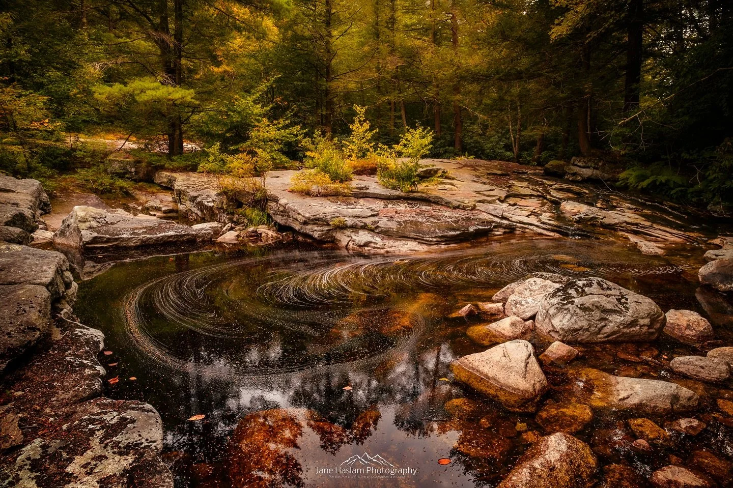 It&rsquo;s been a while since I&rsquo;ve spent quality time in Minnewaska - so Wednesday afternoon was a treat. I took a walk along the Peter&rsquo;s Kill looking for the first signs of Fall. Water levels were pretty@low so it took me a while to find
