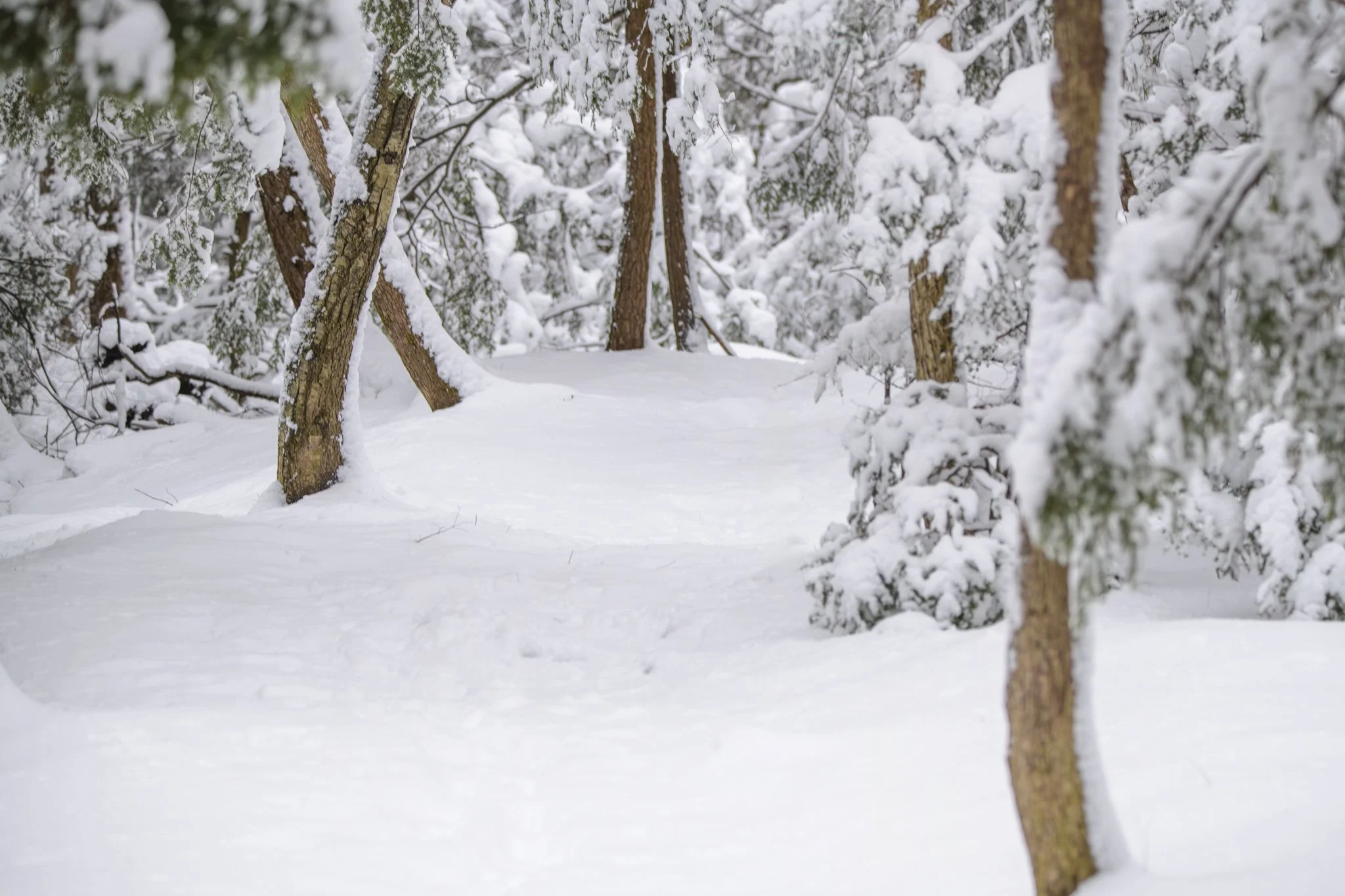 JaneHaslamPhotography-Catskills-NewYork-10.jpg
