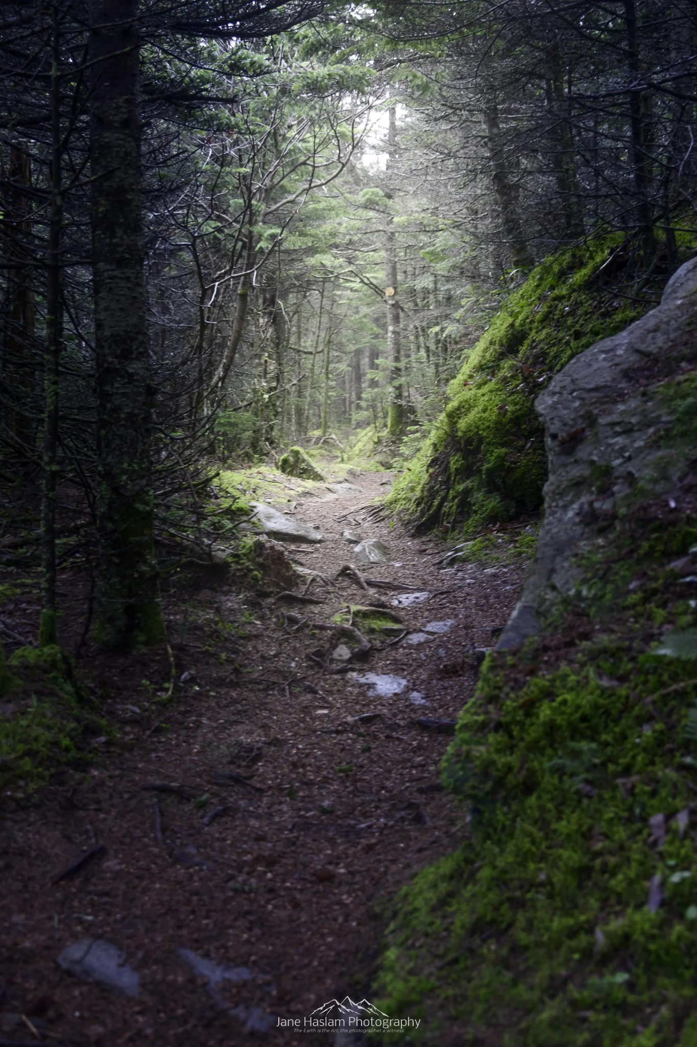JaneHaslamPhotography-Catskills-NewYork-4.jpg