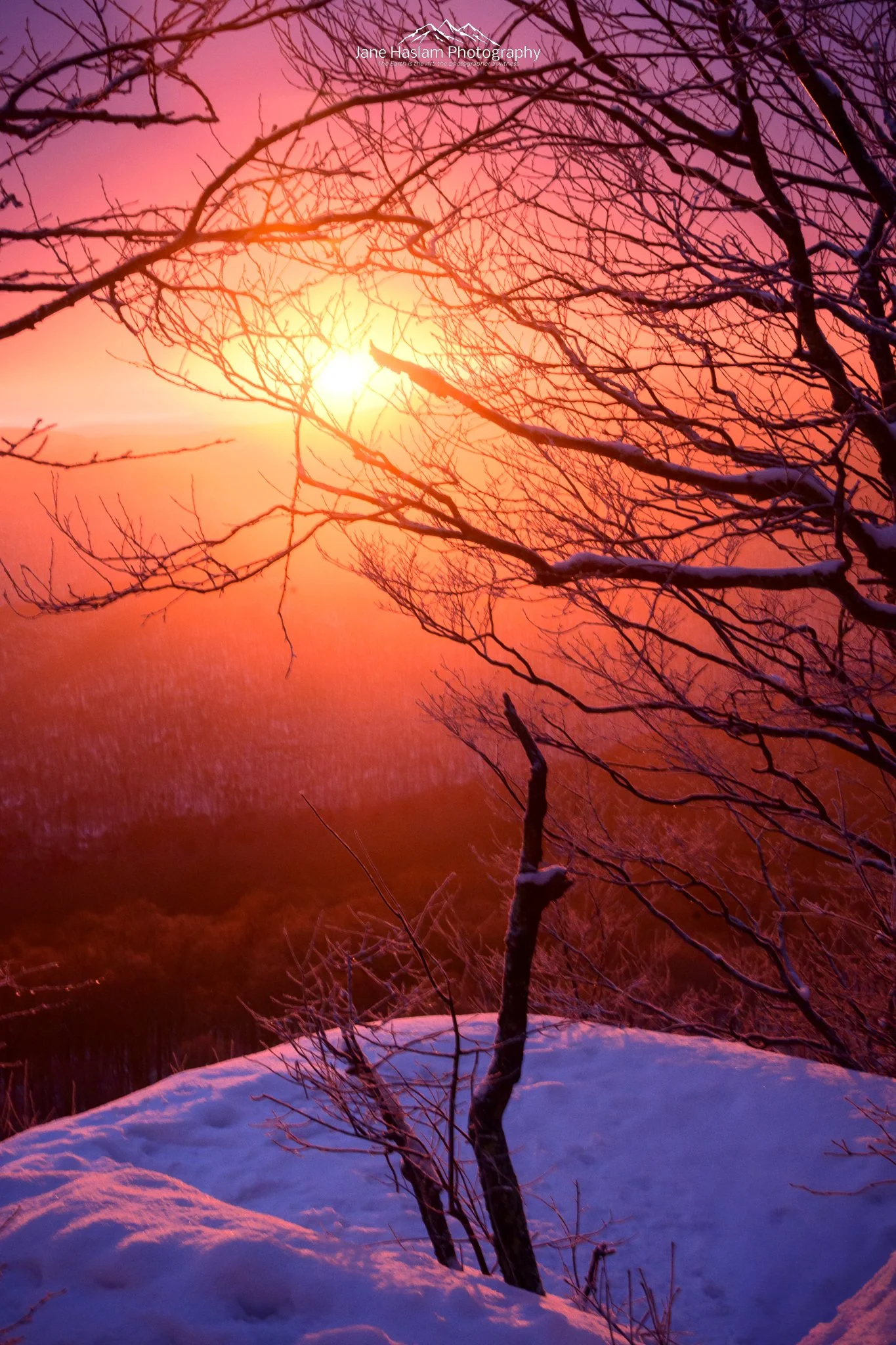 Jane-Haslam-Photography-RimeIceSunrise-Catskill-Mountains-New-York-1.jpg