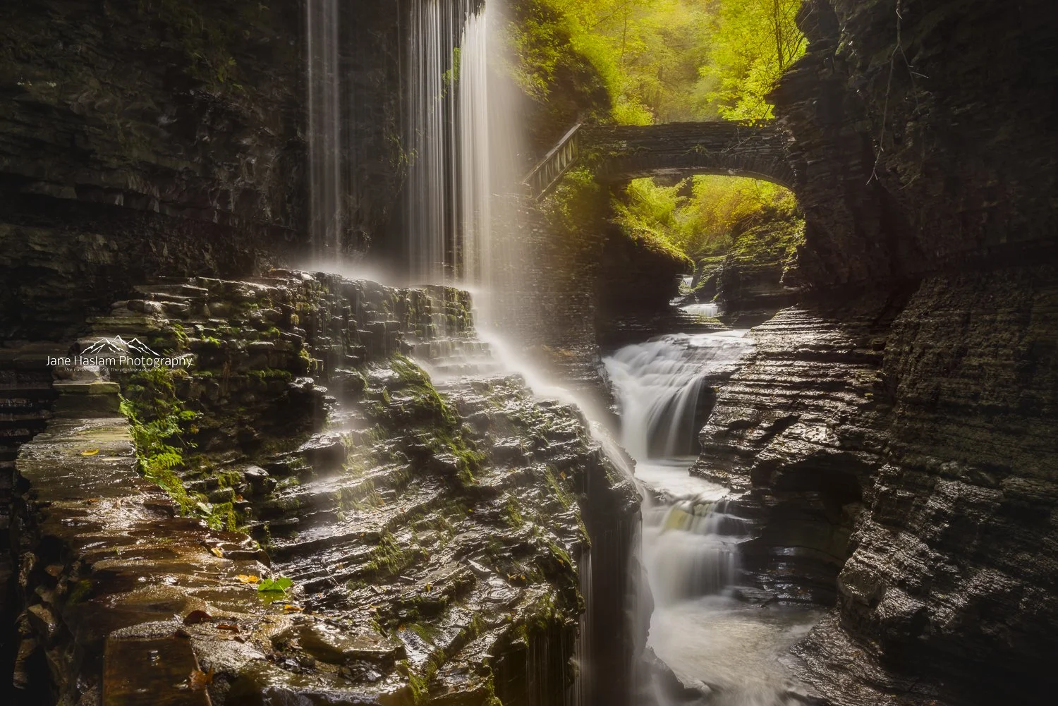 A Love Letter to New York State