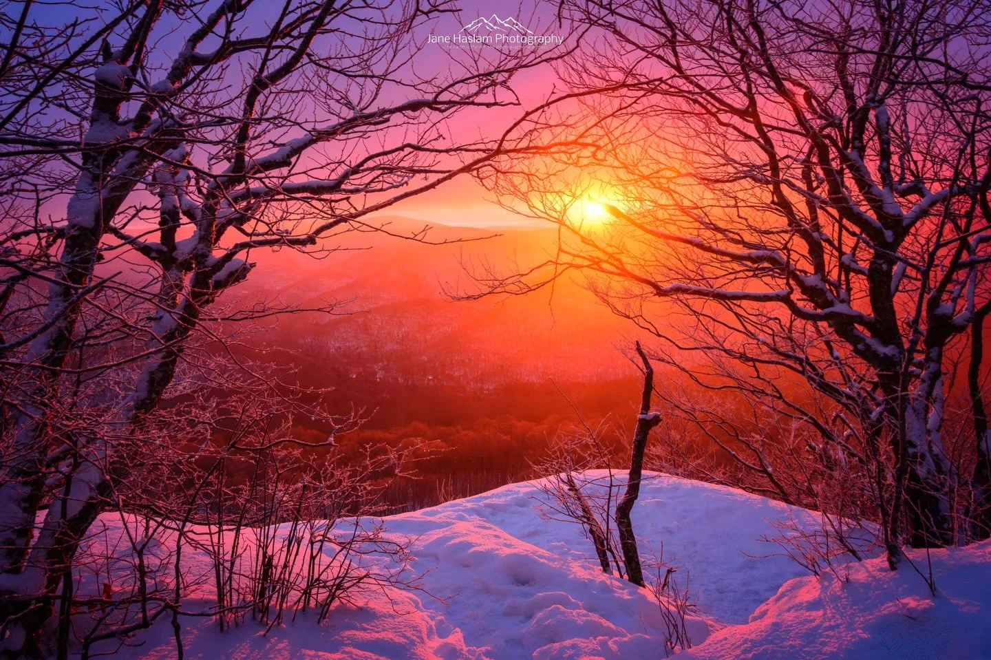 A couple of weeks ago I had the pleasure of witnessing one of the most glorious sunrises I&rsquo;ve ever seen in the Catskills&hellip; put simply it was breathtaking.
A vast bank of cloud acted as a natural softbox, while rime ice above 3,000 ft refl