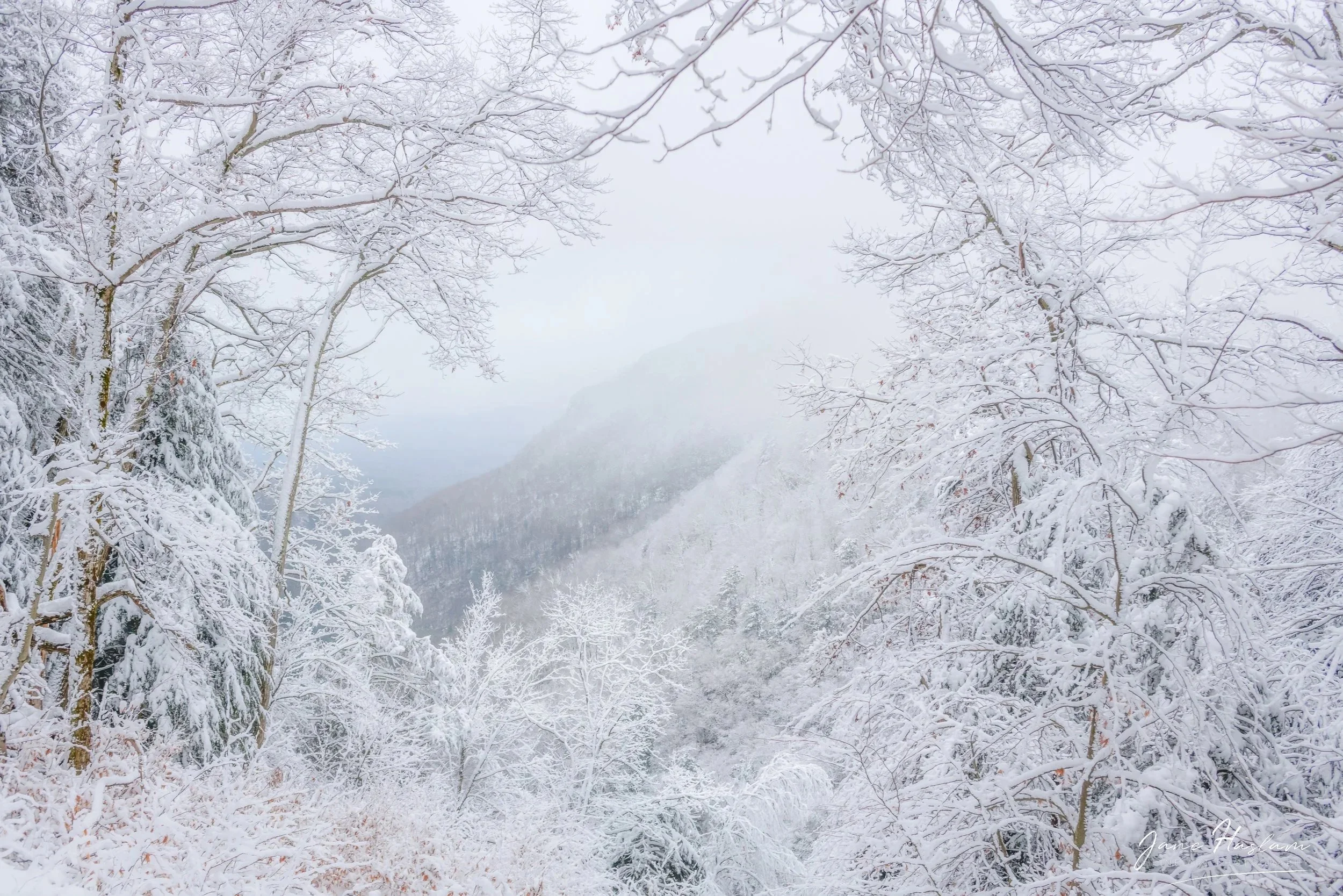 Narnia - Available for free download