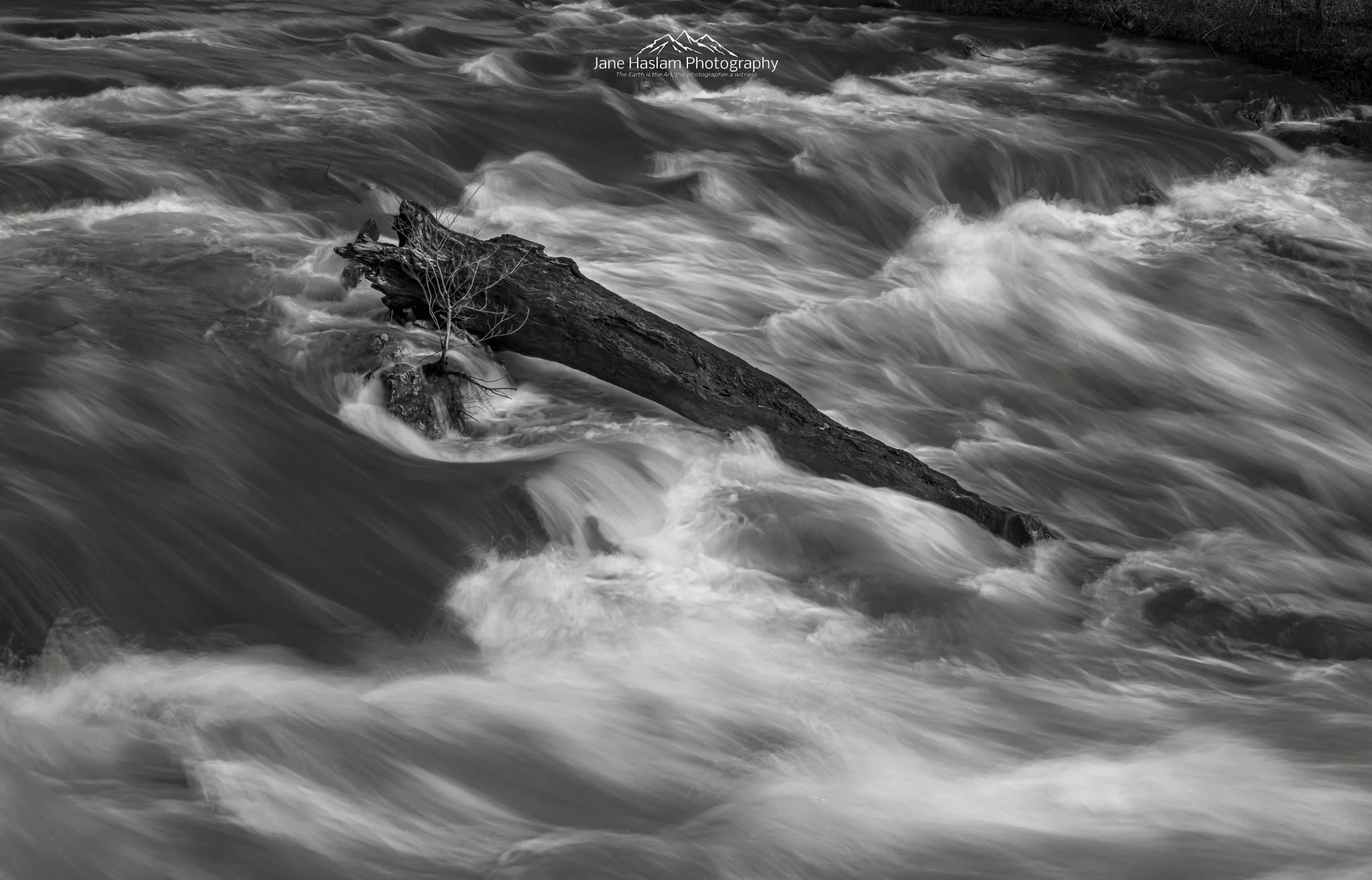 Housatonic-Whitewater