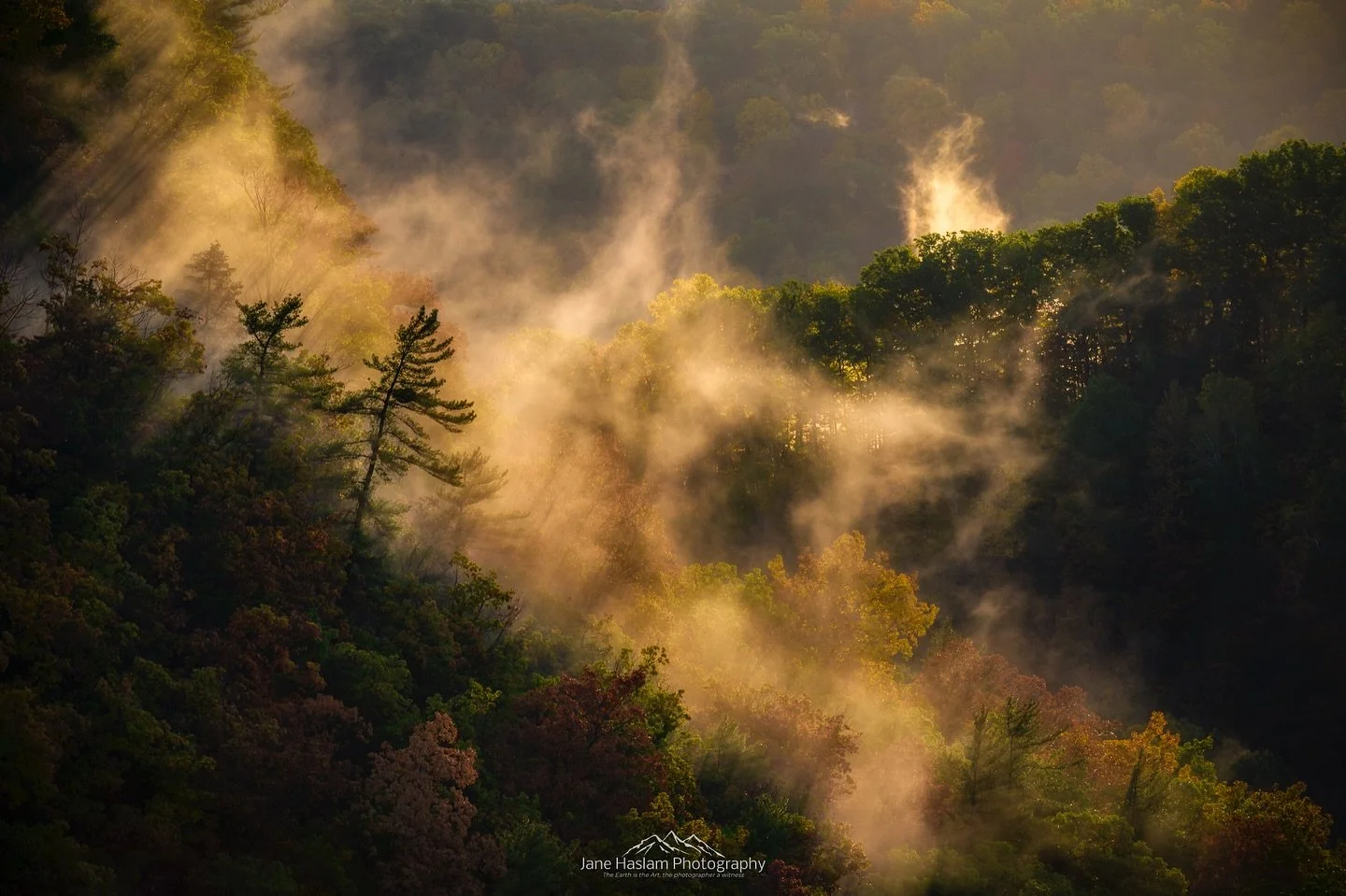 If you know me you&rsquo;ll not be surprised when I tell you how fixated I was with this mist at Letchworth the other morning - I spent a rather beautiful hour watching and photographing it until the sun became strong enough to burn it off - one reas