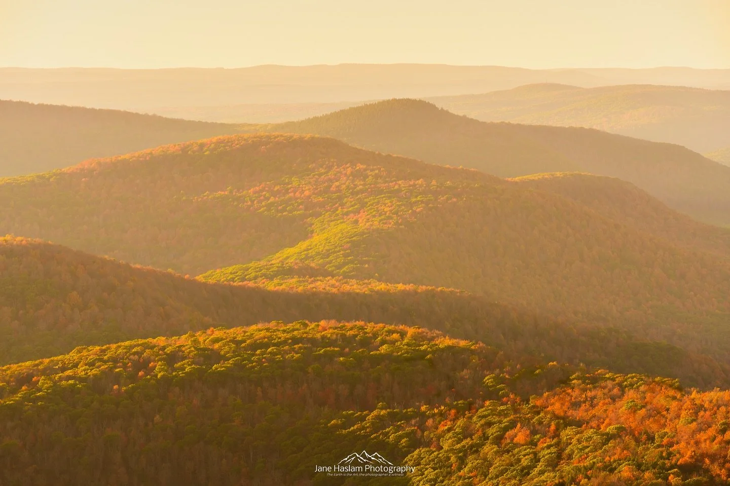 Peak Fall viewing at sunset in the northern Catskills - beautiful evening on Windham High Peak a couple of weeks ago
..
.
If you like my work Prints and metals are available please message me or better still visit my Gallery in Pawling, ny in person 