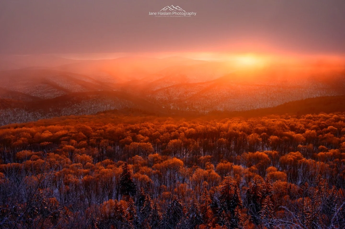 This morning&rsquo;s sunrise from Giant&rsquo;s Ledge in the Catskills was breathtaking.
A vast bank of cloud acted as a natural softbox, while rime ice above 3,000 ft reflected light in every direction. Light snow showers in the middle distance soft