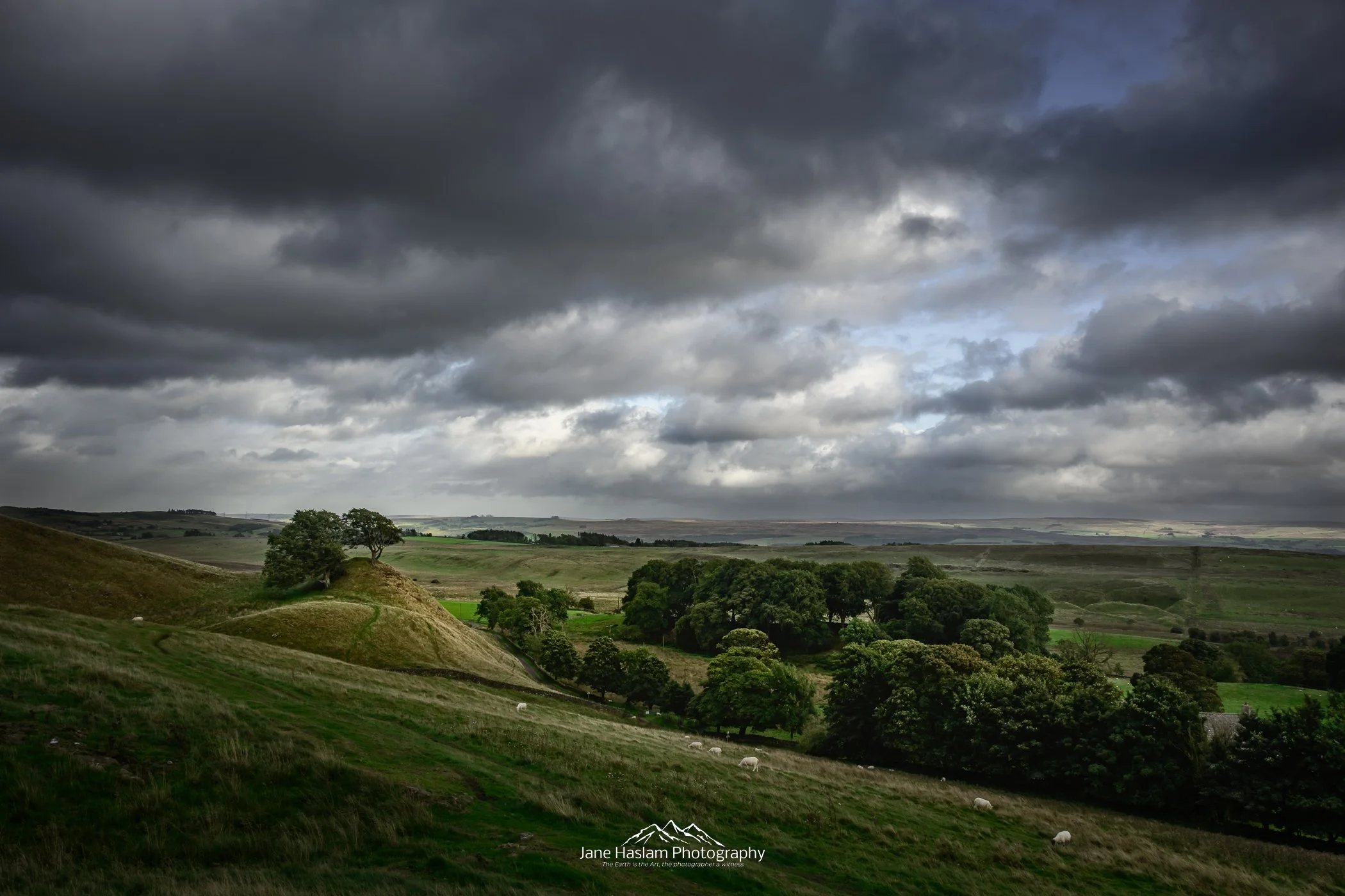 JaneHaslamPhotography-HadriansWall-198.jpg