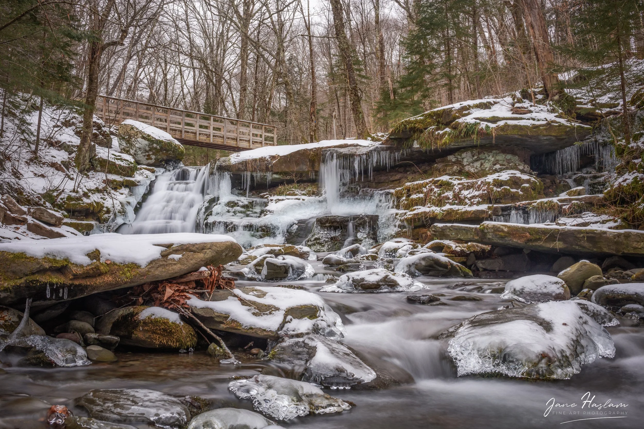 Jane-Haslam-Photography-Catskill-Mountains-DiamondNotchFalls.jpg