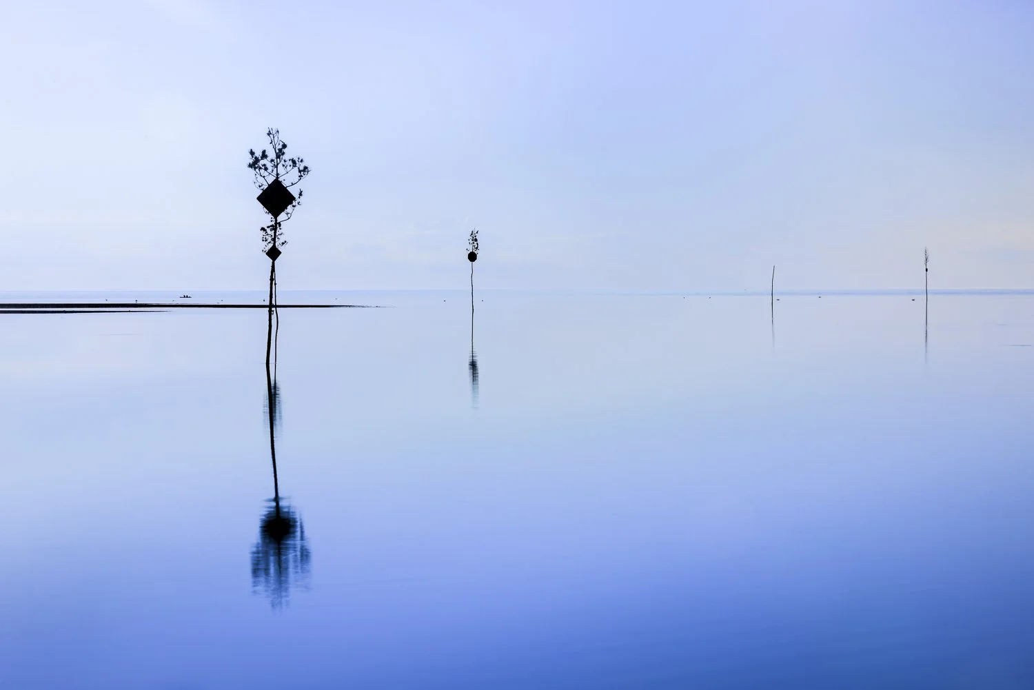 Jane-Haslam-Photography-Coastal-CapeCod-Massachusetts-16.jpg