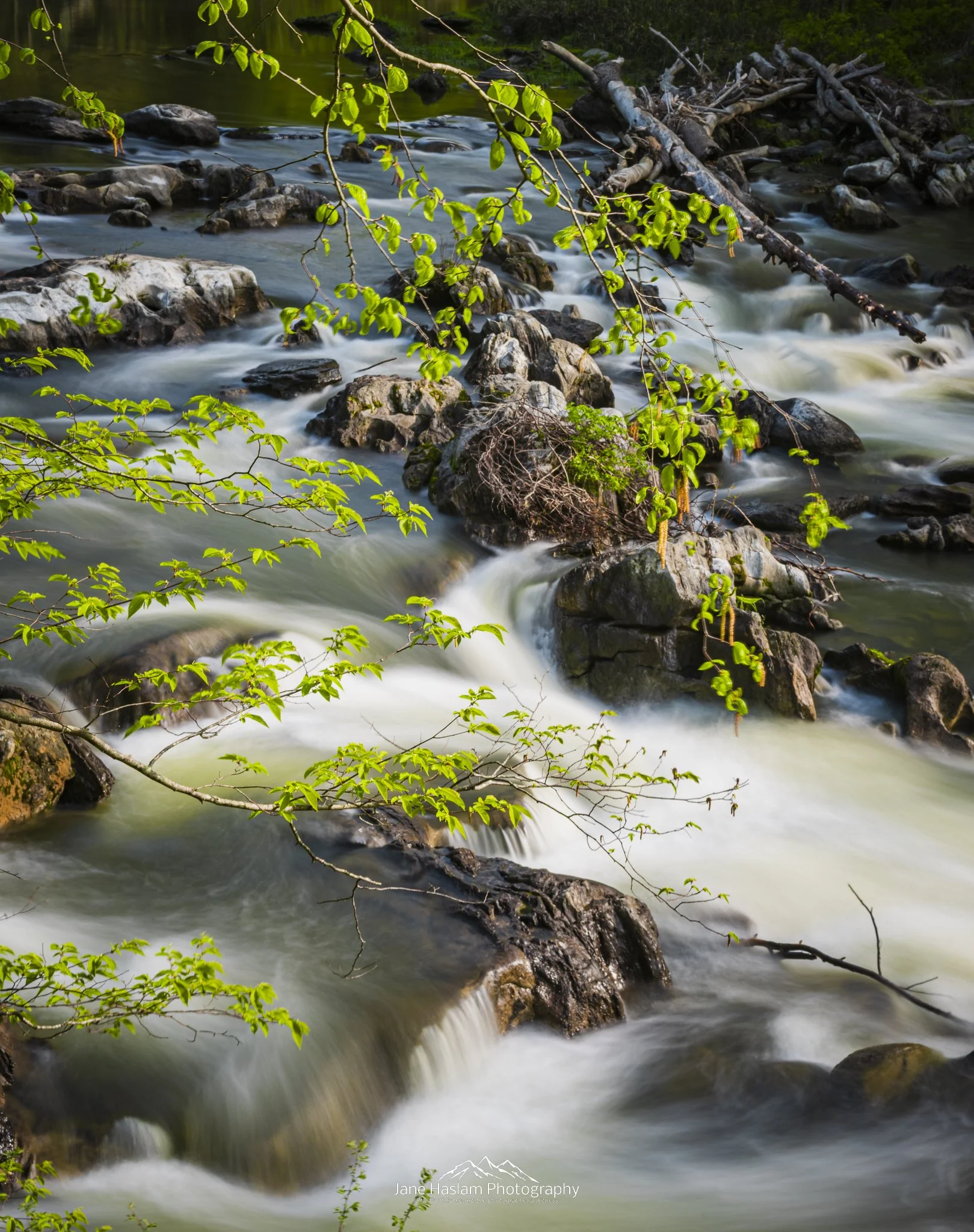 Rapids: Spring bursts into life around the Housatonic River at Bulls Bridge, in Connecticut