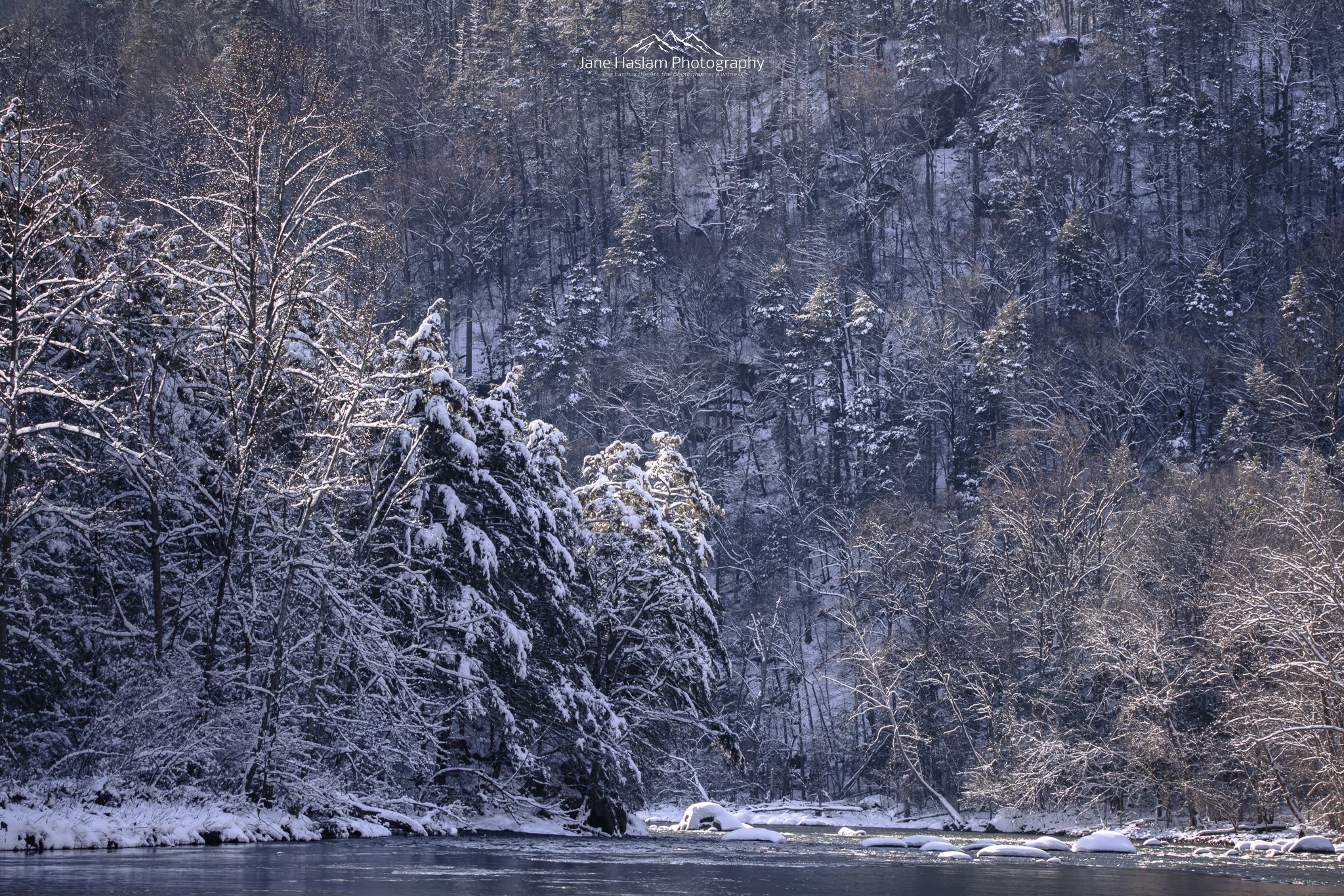 Bend in the River: Midday winter sun on the steep forested slopes of the Housatonic River gorge, Bulls Bridge, Kent, Connecticut