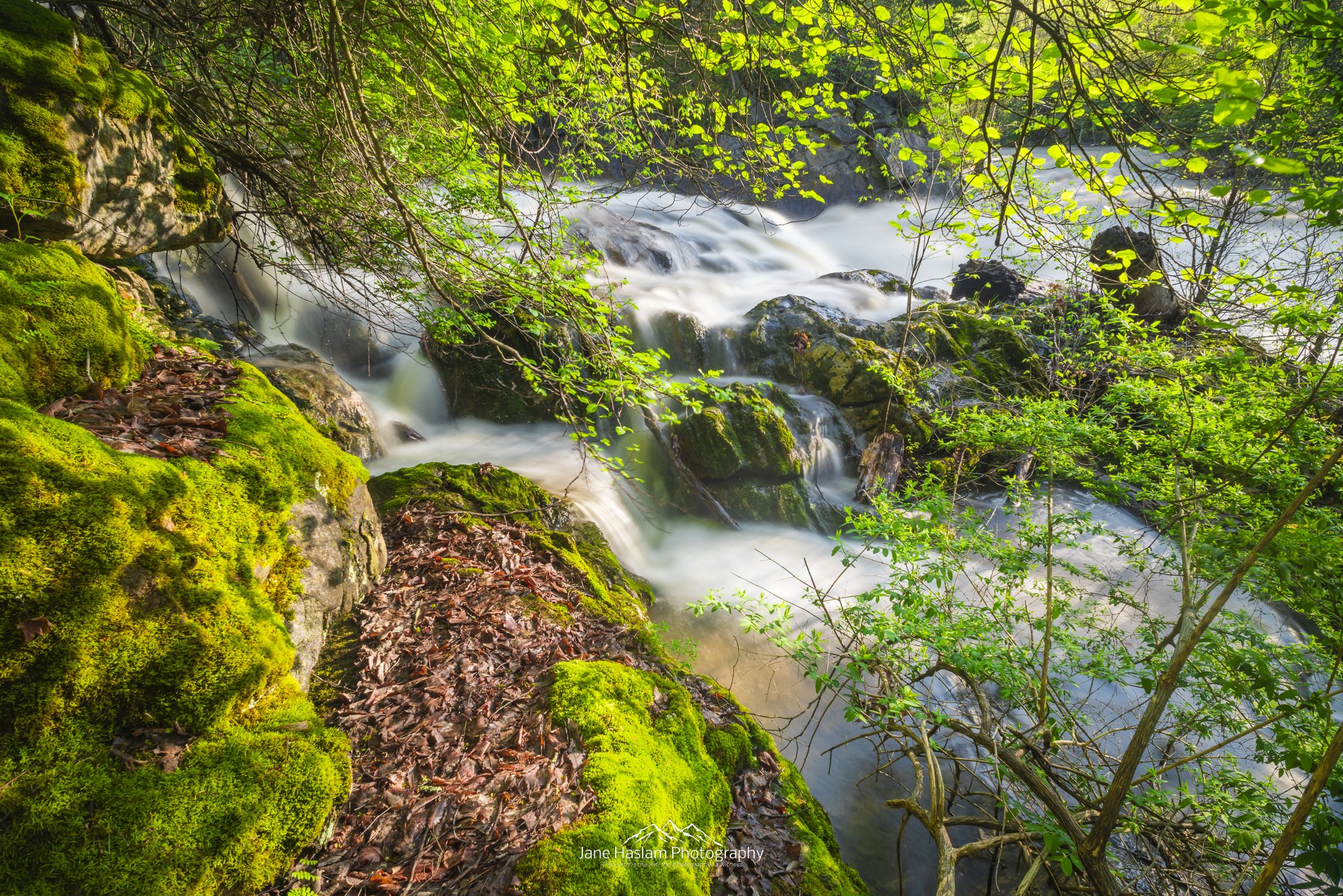 Spring bursts into life around the Housatonic River at Bulls Bridge, in Connecticut