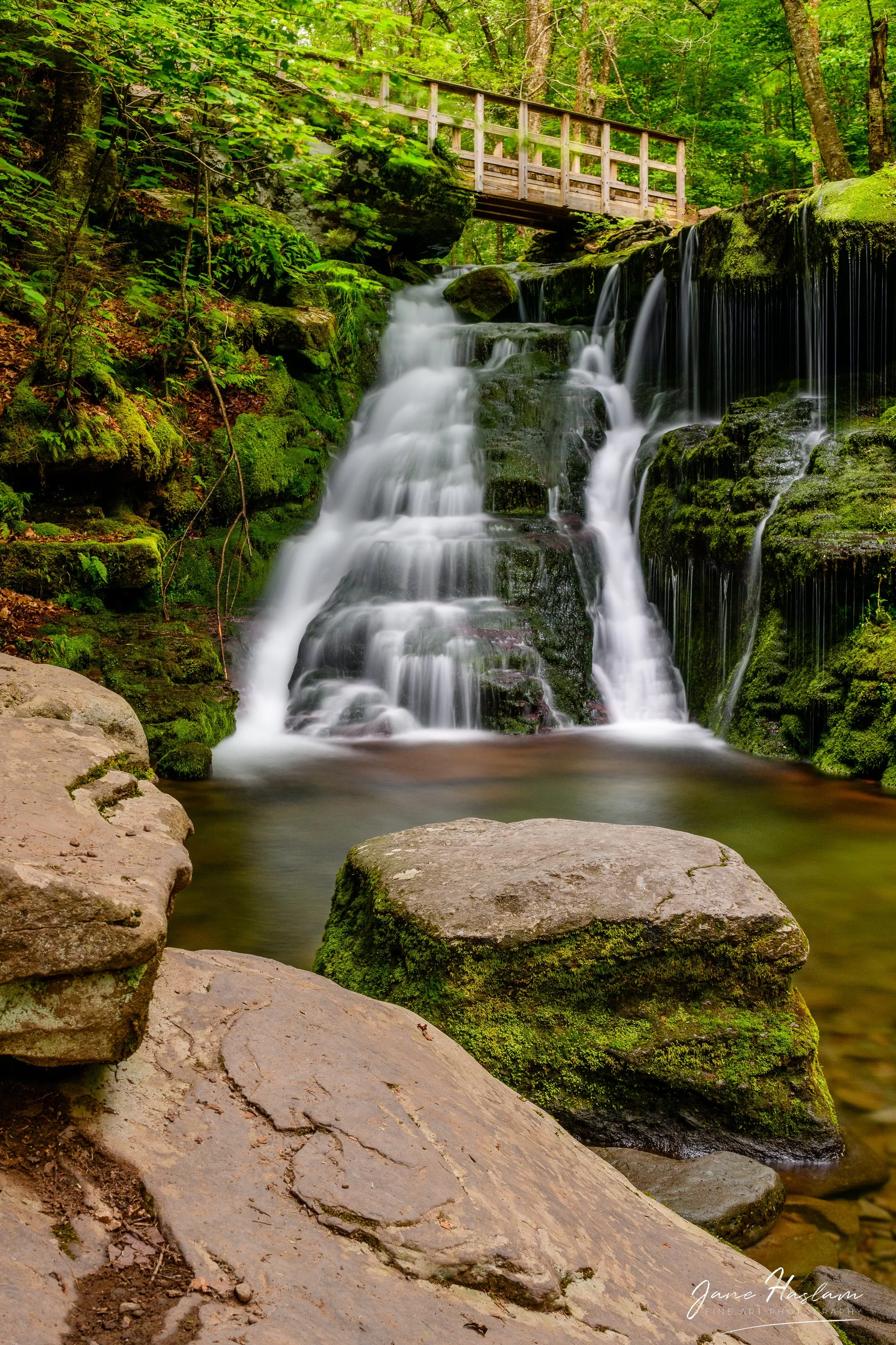 Jane-Haslam-Photography-Catskill-Mountains-DiamondNotchFalls.jpg