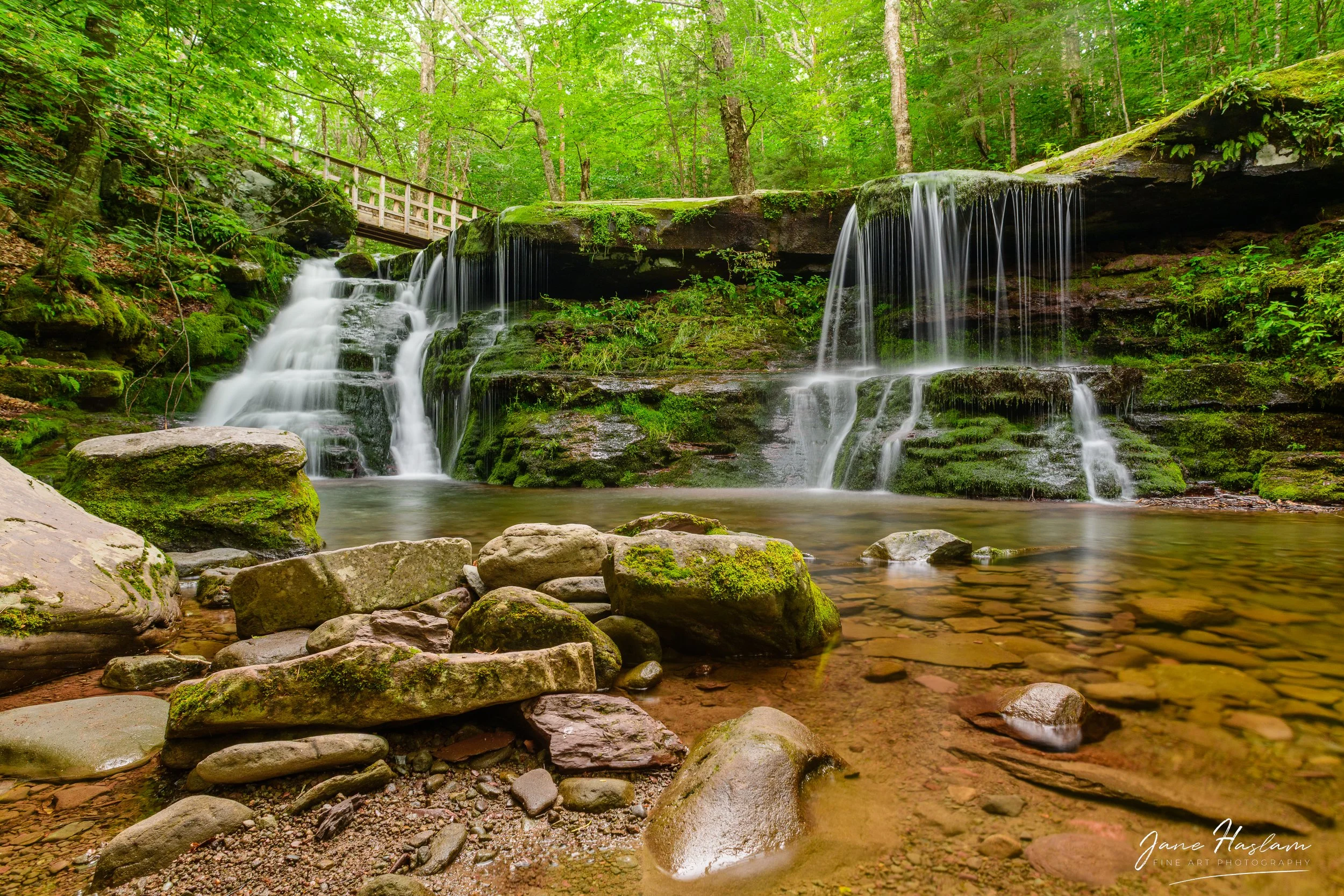 Jane-Haslam-Photography-Catskill-Mountains-DiamondNotchFalls.jpg