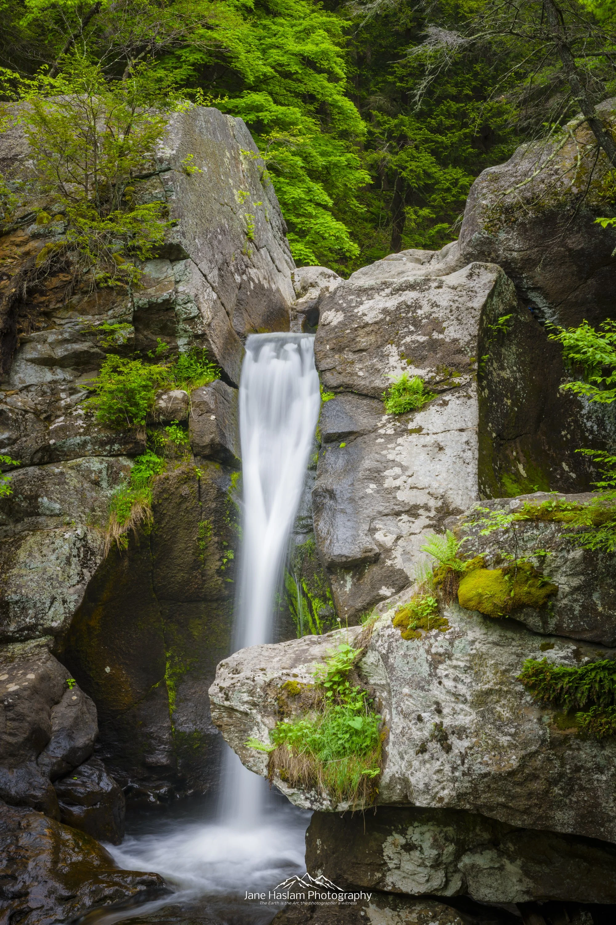 Spring Cascade: A Long exposure at Kent's upper Falls. Lush green foliage frames the the beautiful cascade of the upper falls at Kent, Connecticut