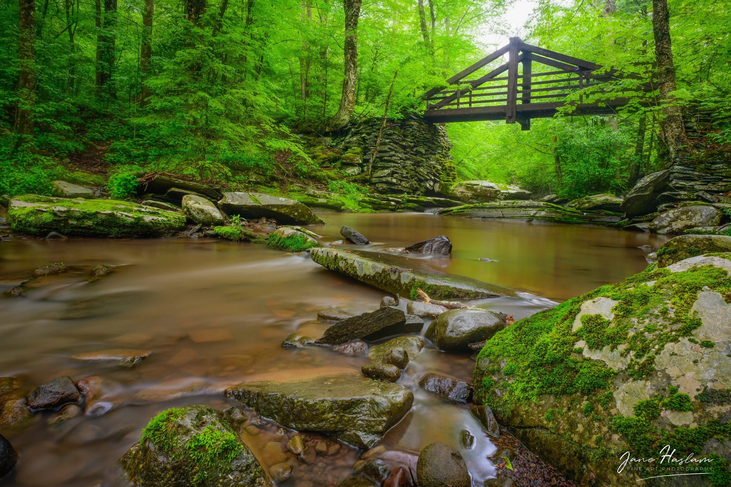 Jane-Haslam-Photography-Catskill-Mountains-Plattekill.jpg