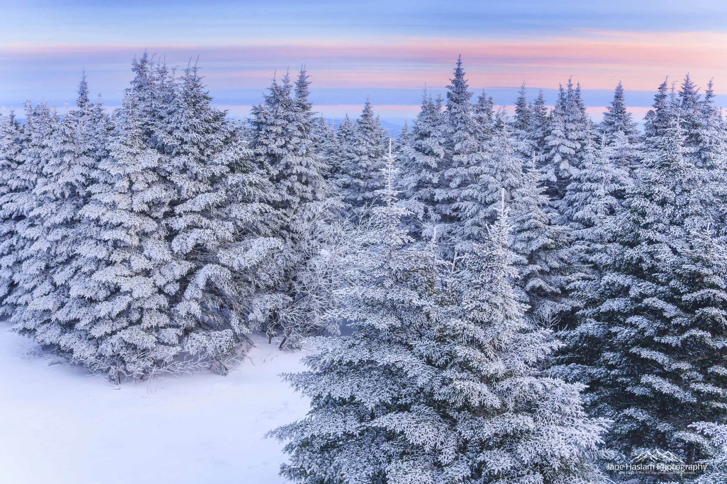 Winter Wonderland - Free Wallpaper Download
