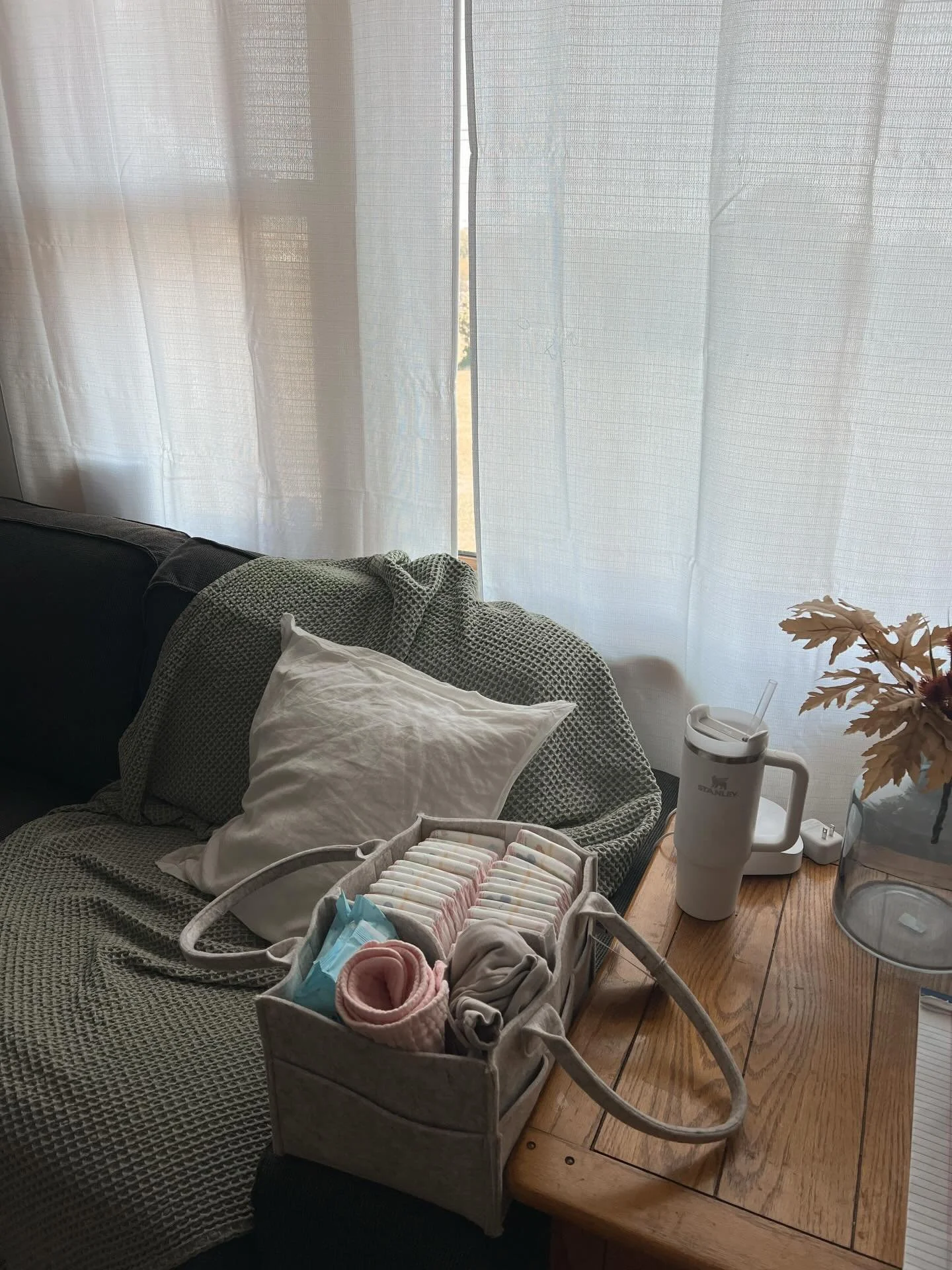 As postpartum doulas, we support the whole family in the early weeks after birth - caring for the mother &amp; nurturing the home she&rsquo;s healing in 

We feed you
We give you space to rest 
We help care for the baby 
We keep things in order
We ch