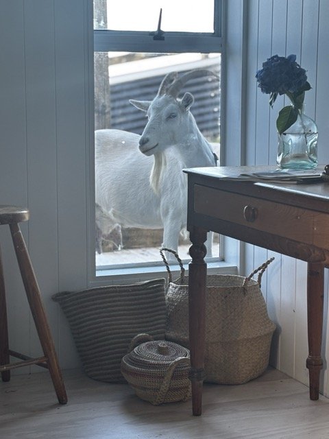 IMG_4188 Medium.jpeg