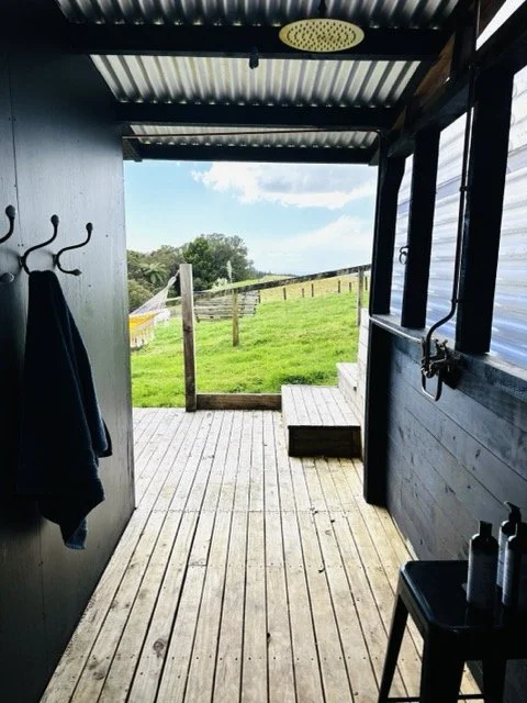 IMG_4699 Medium.jpeg