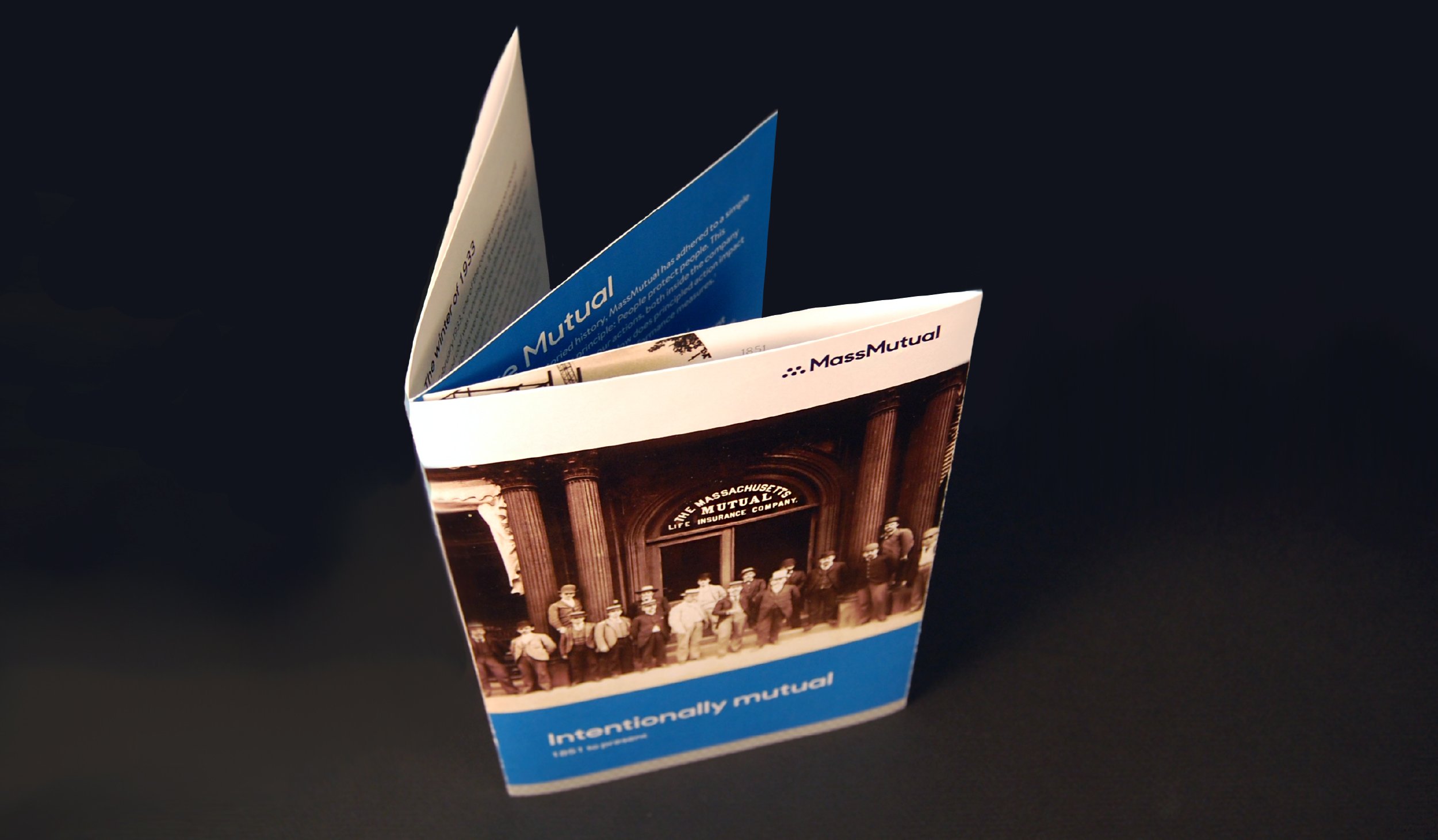 Collateral-Website-08.jpg