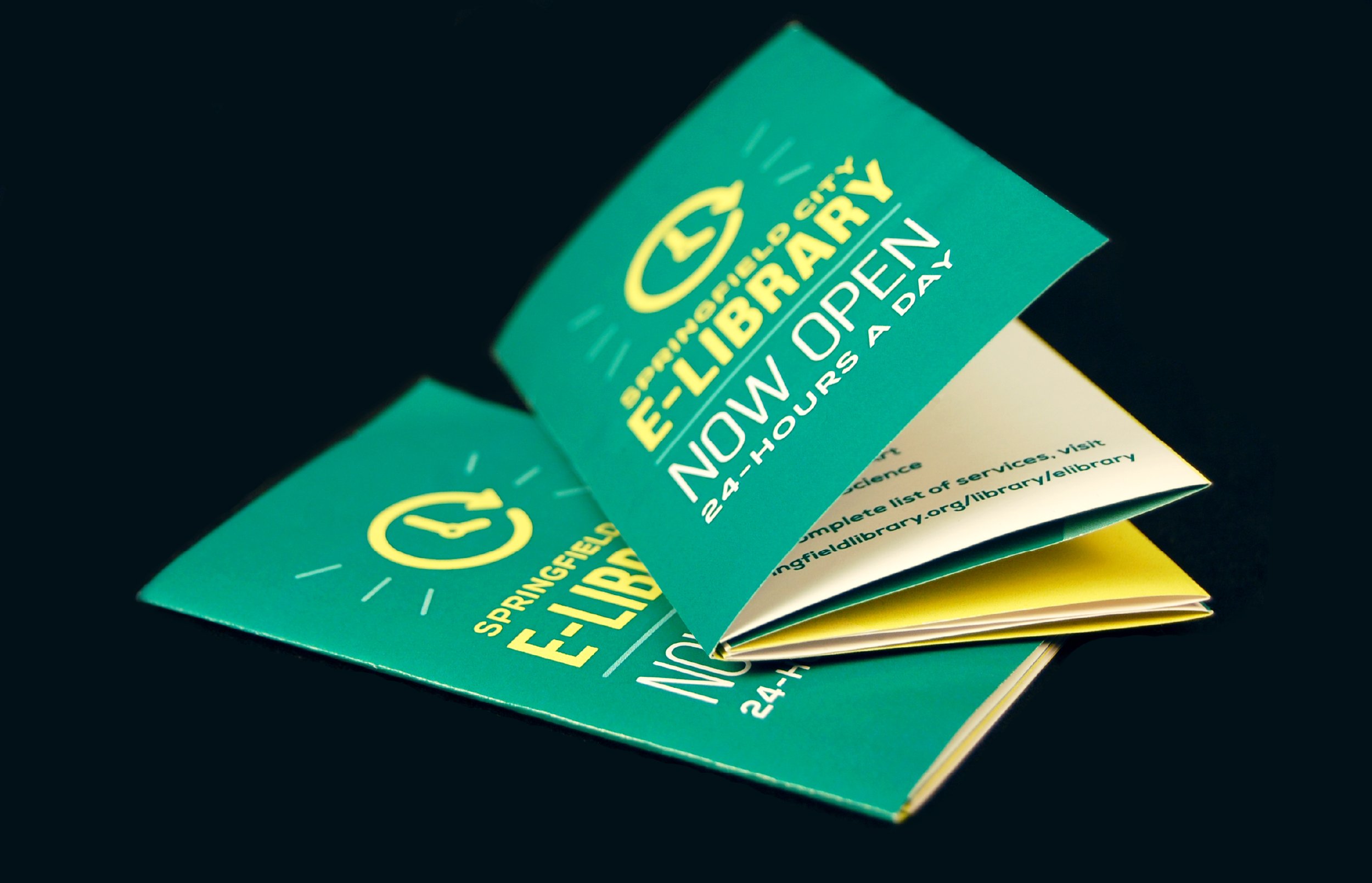 Collateral-Website-13.jpg