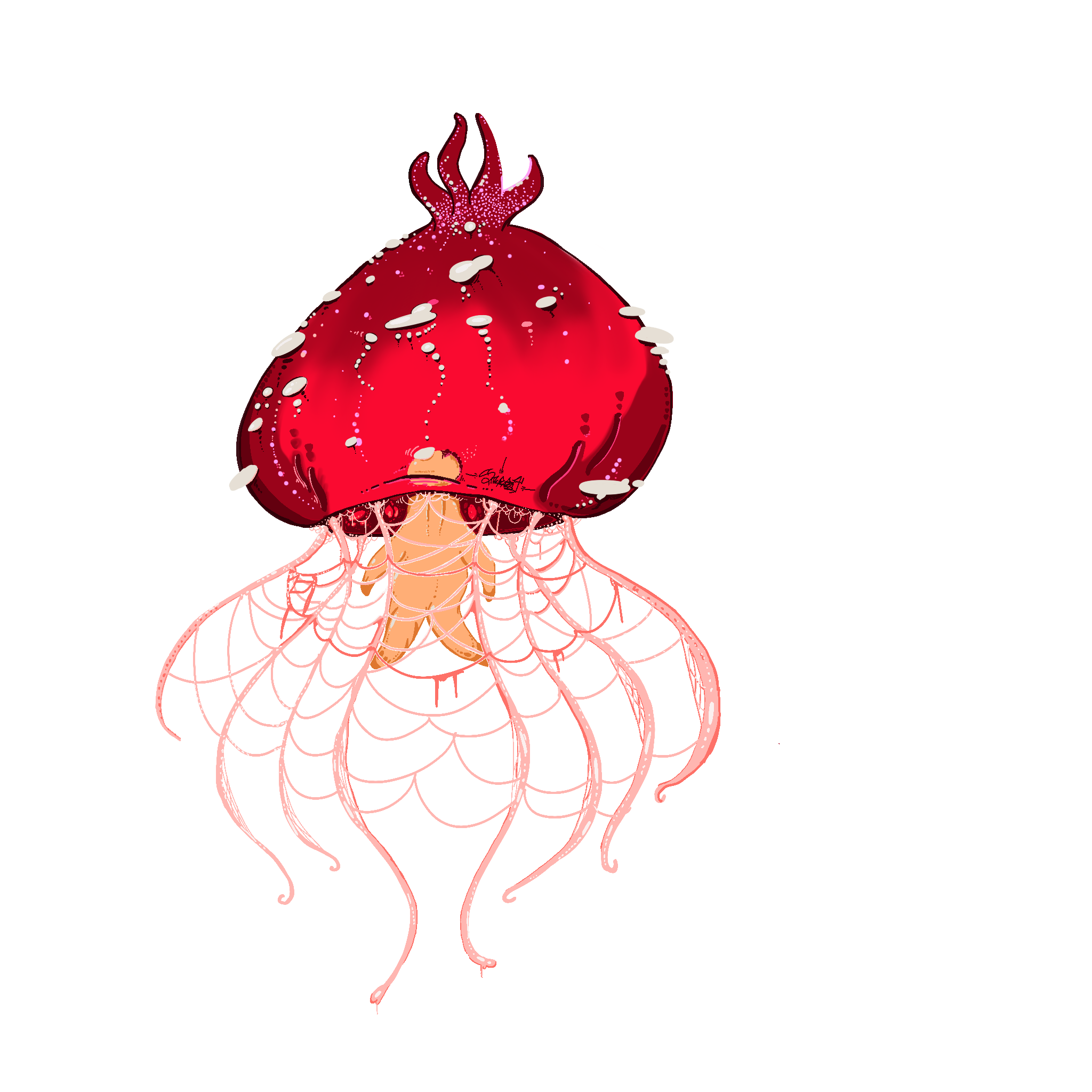jellyshroom.png