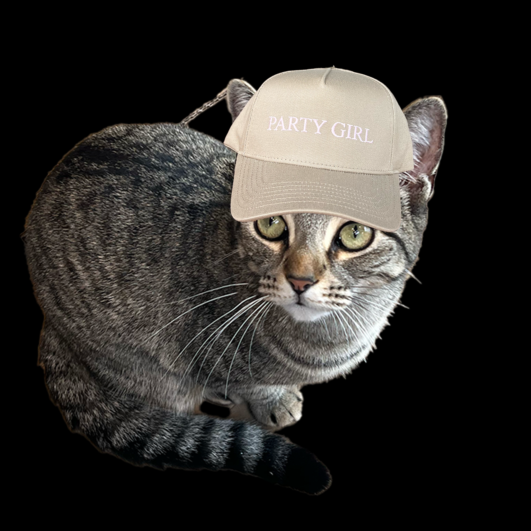 PG IN HAT.png