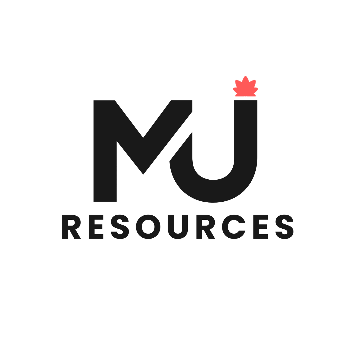 MJ RESOURCES