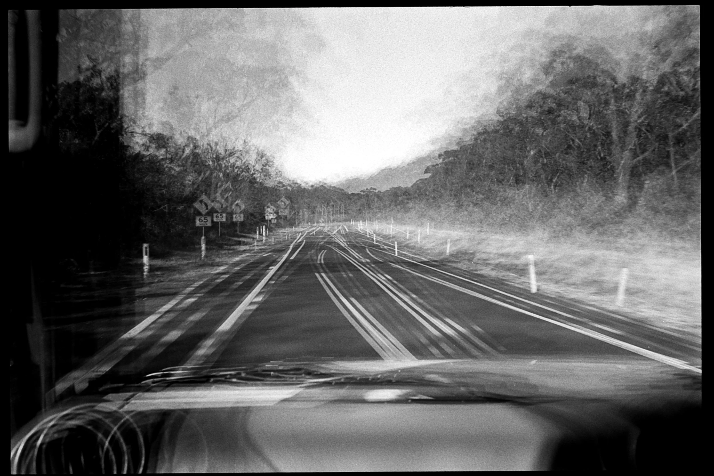 TriX Test roll (2).jpg