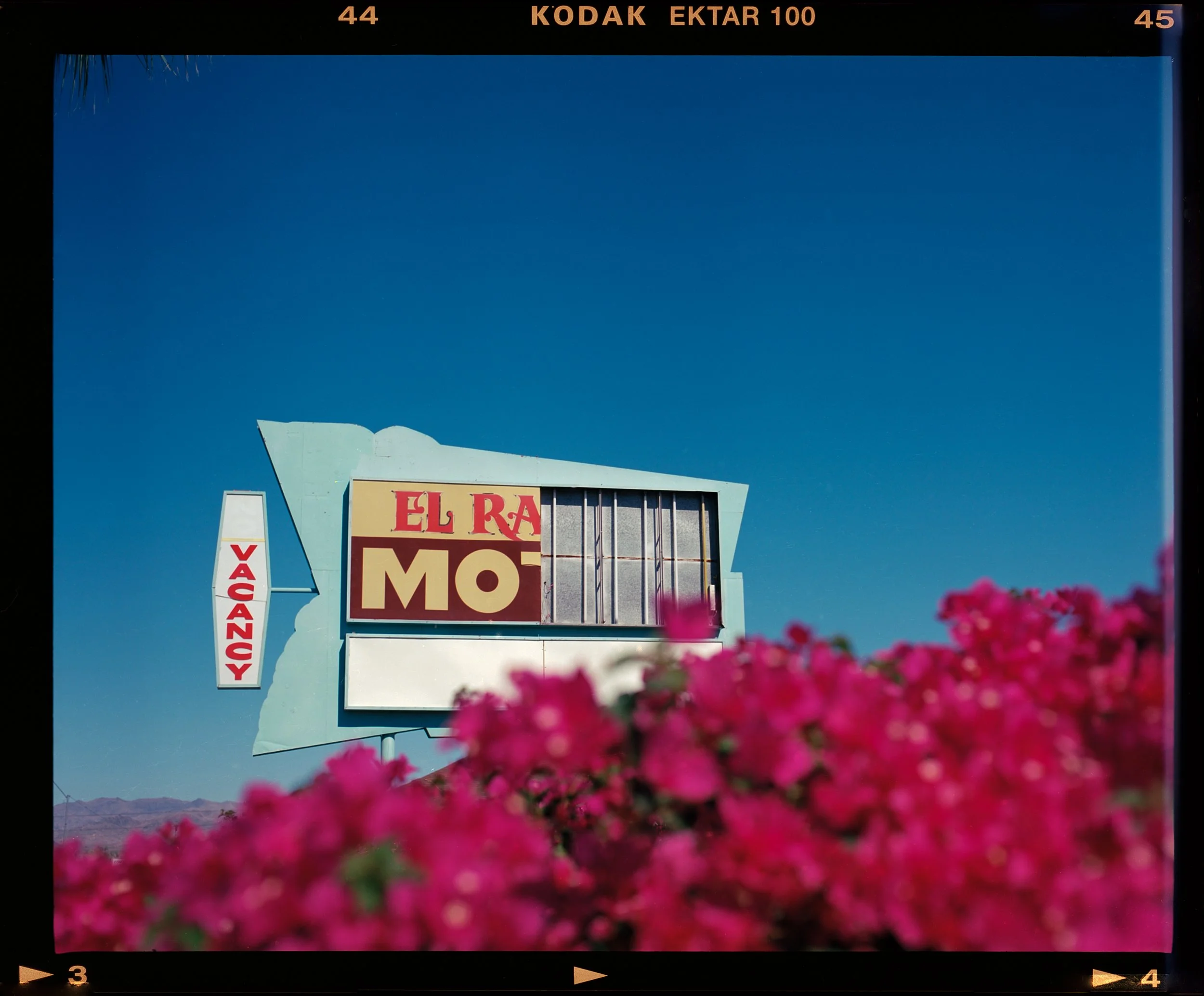 Hotel Sign flowers.jpg