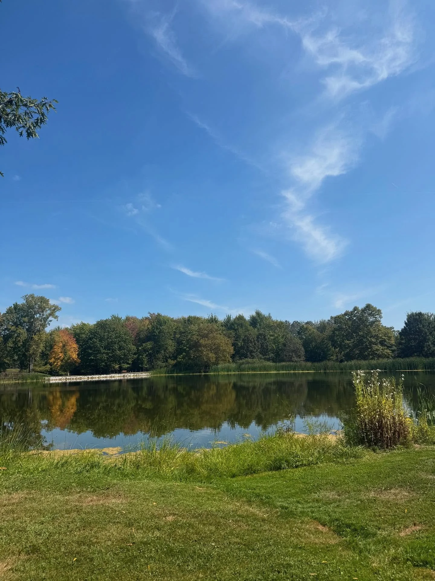 A beautiful day checking out some local treats! We hit up Mapleside for some fall fun then the new hot spot Market 42 for some lunch and cute shops! We made some new community connections for future events too! We finished our day at North Park for a