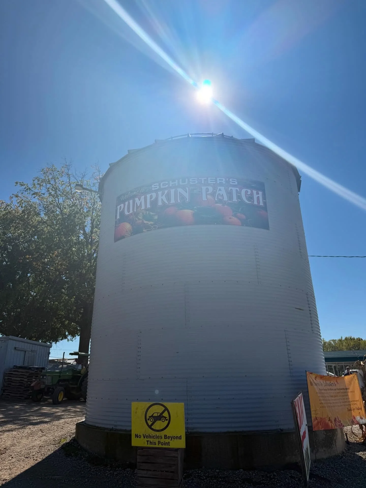 Fall fun adventure at Schuster’s pumpkin patch! A spooky house, maze, gold digging, pumpkins and more! 🌽🎃👻