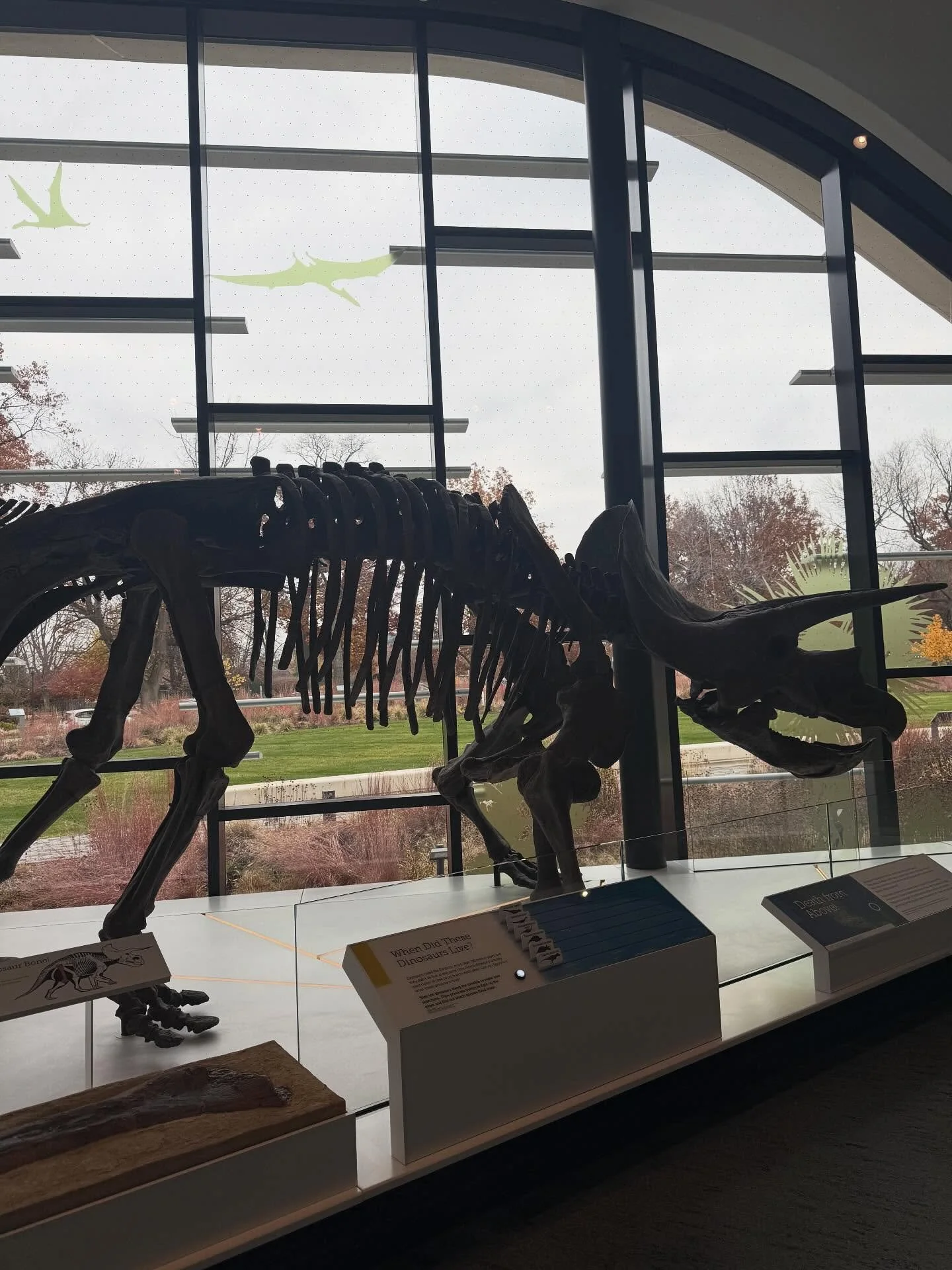 Exploration day at the Natural History Museum 🦖🦕