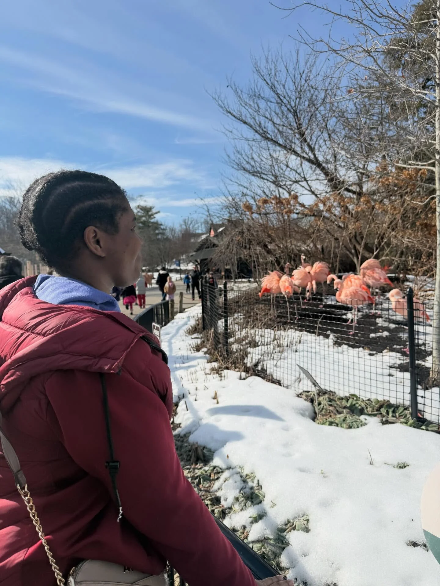 Everybody&rsquo;s Zoo-ing it! Big day at the zoo! We saw some friends, plenty of animals and the SUNSHINE!! ☀️