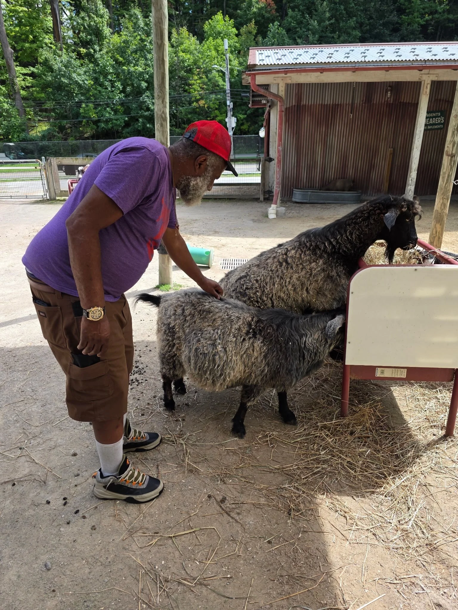 Another amazing week in the books! Thank you to MCBDD for the zoo tickets 🎫 we had fun exploring and saw a lot of familiar faces! We also kicked off Labor Day with kickball and picnic! We are excited for Farming with Friends new journey and got a ch