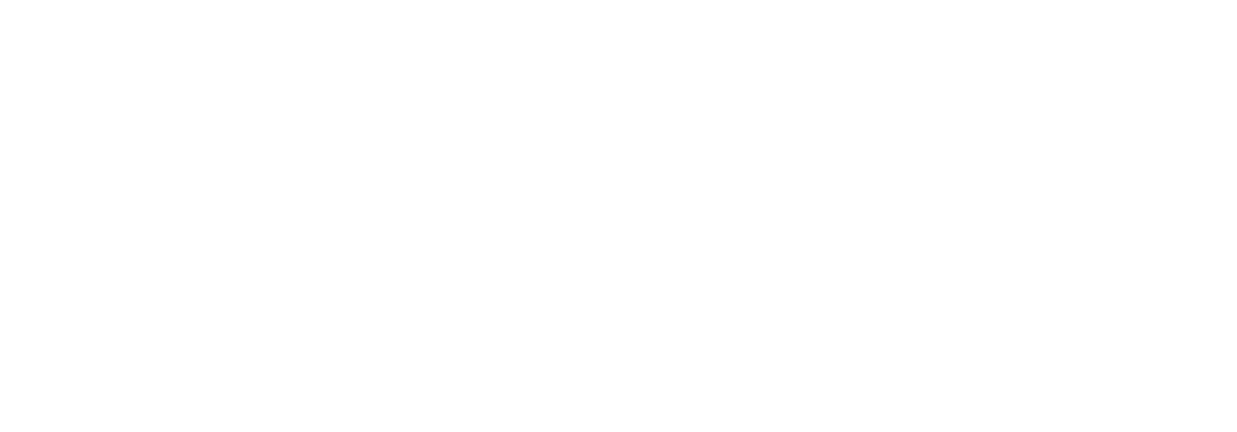Black background with white text that reads "The Smallest Sponsors".
