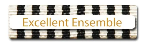 #65 Excellent Ensemble  GOLD STOCK.jpg