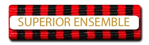 #62  SUPERIOR ENSEMBLE LS STOCK GOLD.jpg