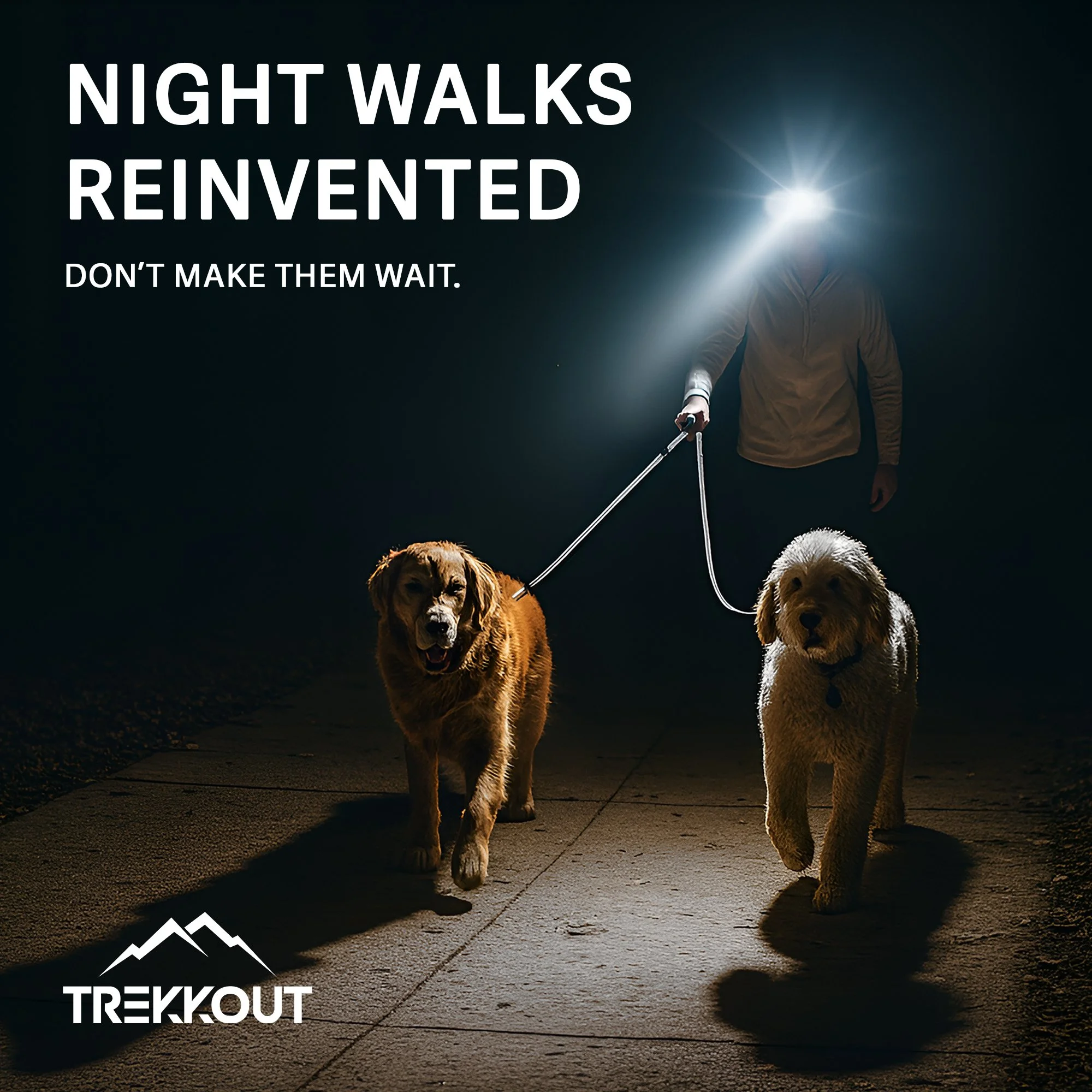 Dog Walking Image.jpg