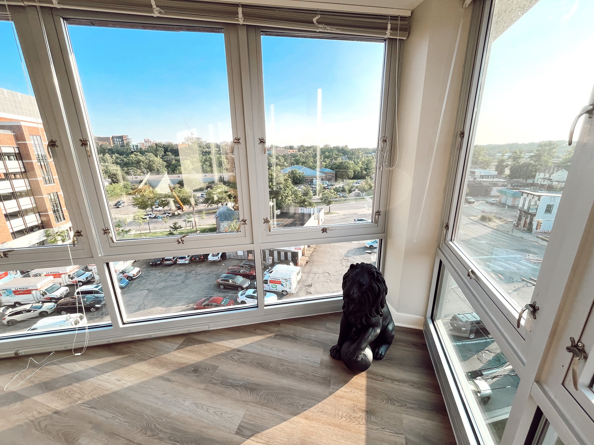 Bubbly Dose of Energy: Why Natural Light is Essential for Your Wellness