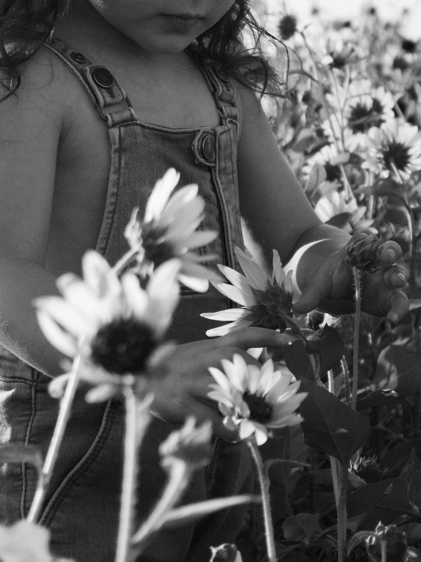 Fall always reminds me just how beautiful change can look through a lens🍂

These were so sweet for my beautiful little sisters. I love getting to capture these special moments as they grow :,)