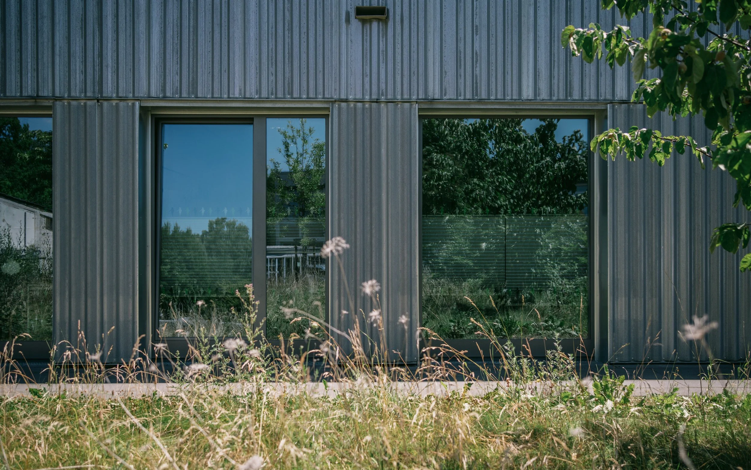 Moderne Hausfassade mit großen Fenstern, umgeben von Natur und Wildblumen im Vordergrund.