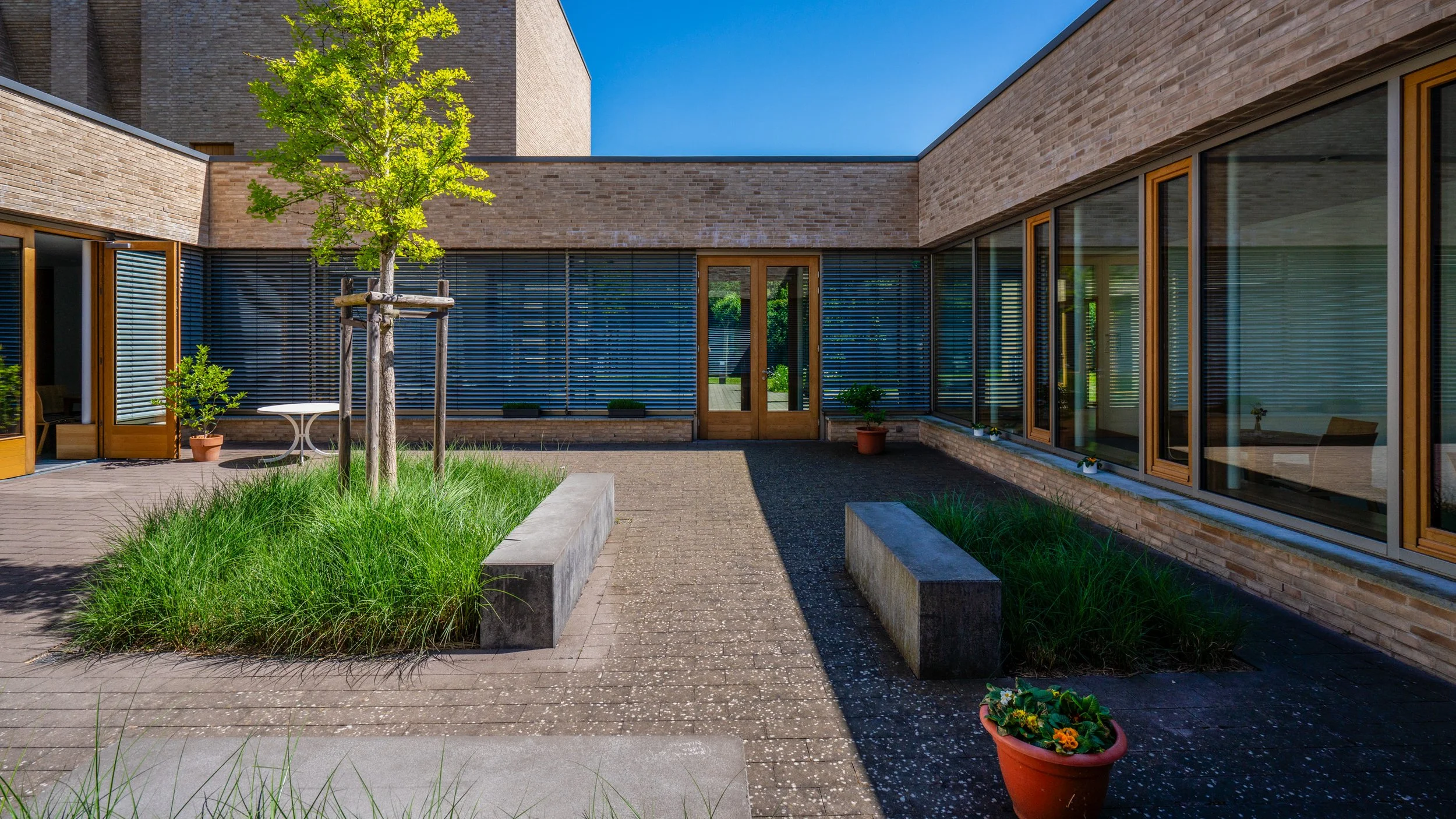 Moderne Außenansicht eines Gebäudes mit großen Fenstern und grünem Garten, sonniger Tag