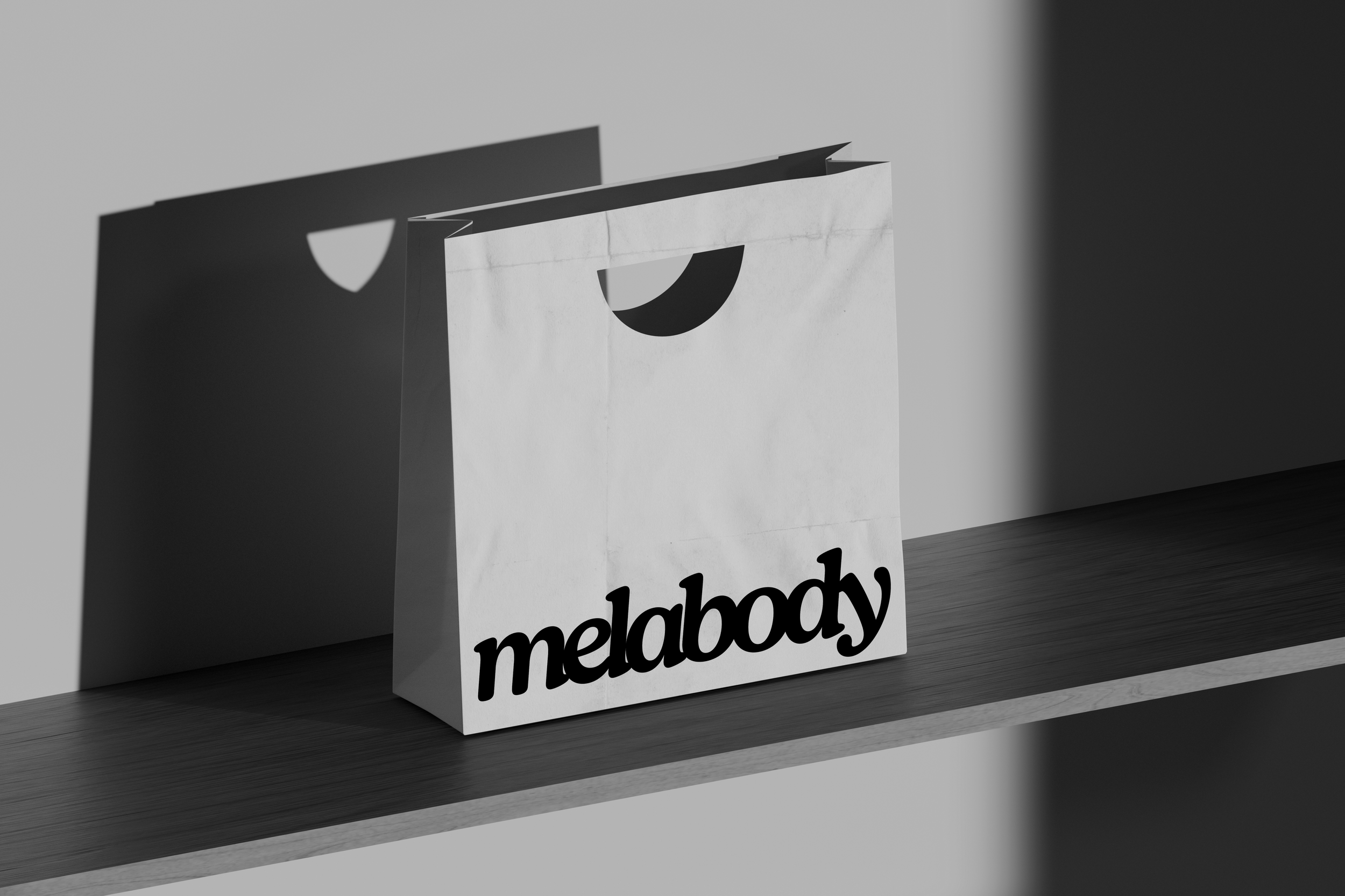 bag mockup.png