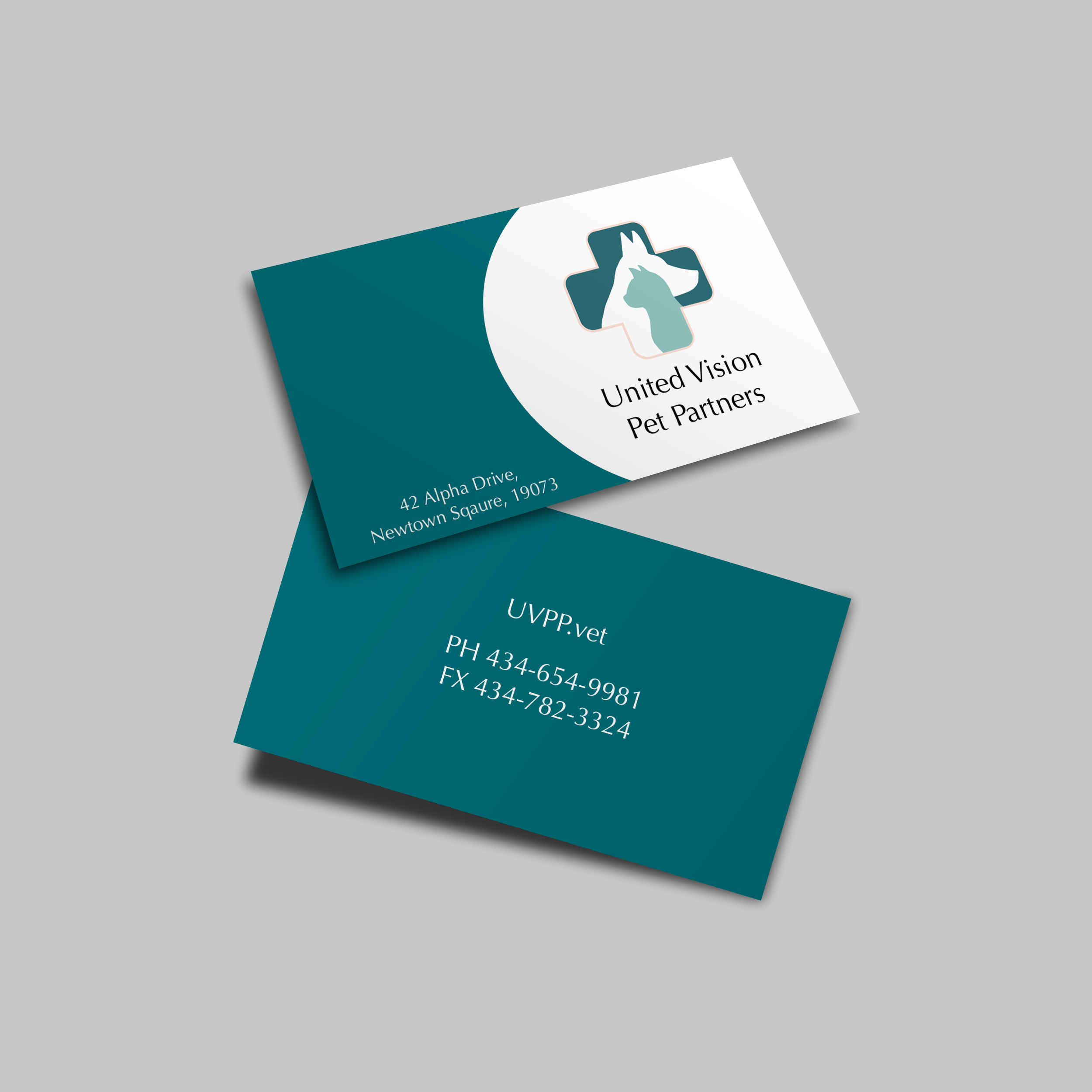 UNITED VISION PET PARTNERS